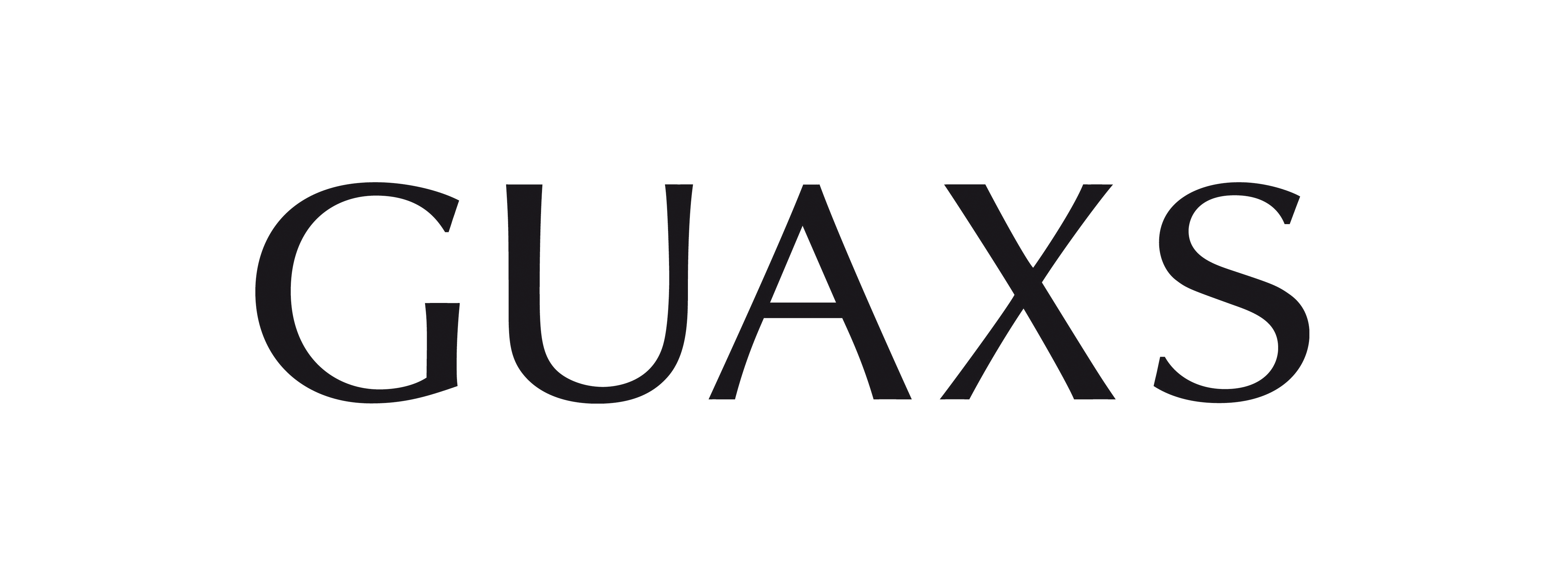 Logo for manufacturer Guaxs