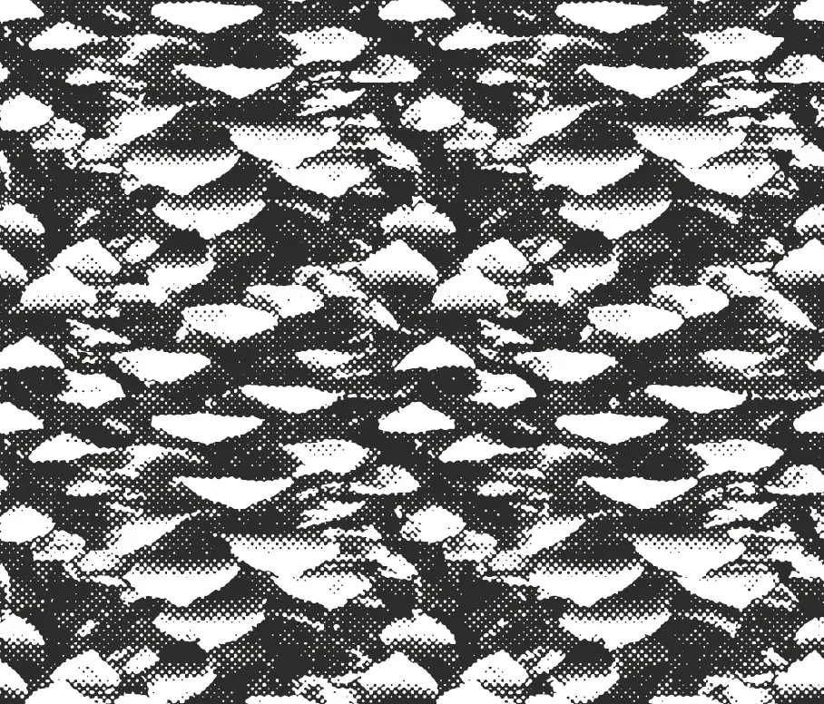 Graphic Concrete - GCNature Cone