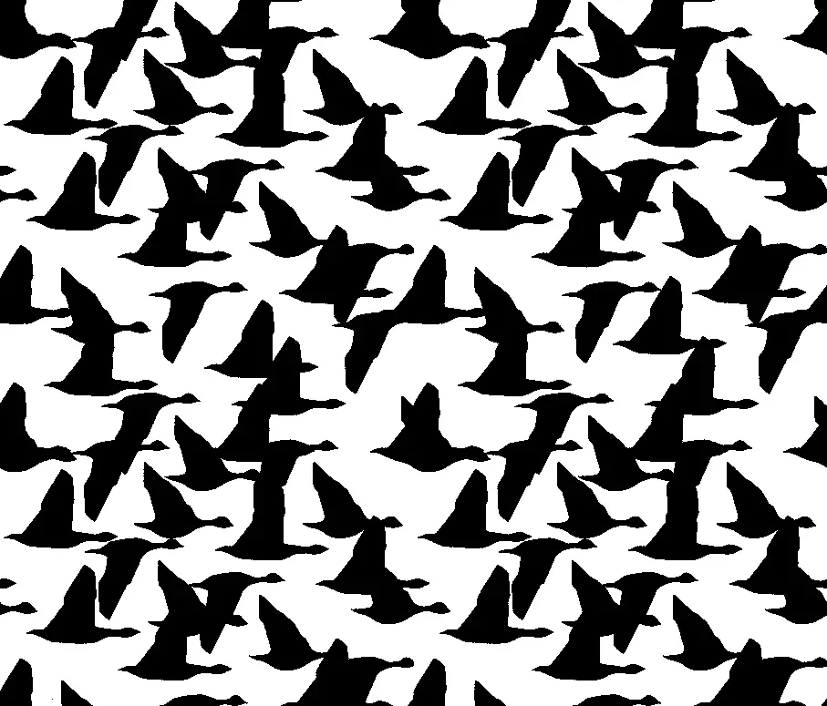 Graphic Concrete - GCNature Geese