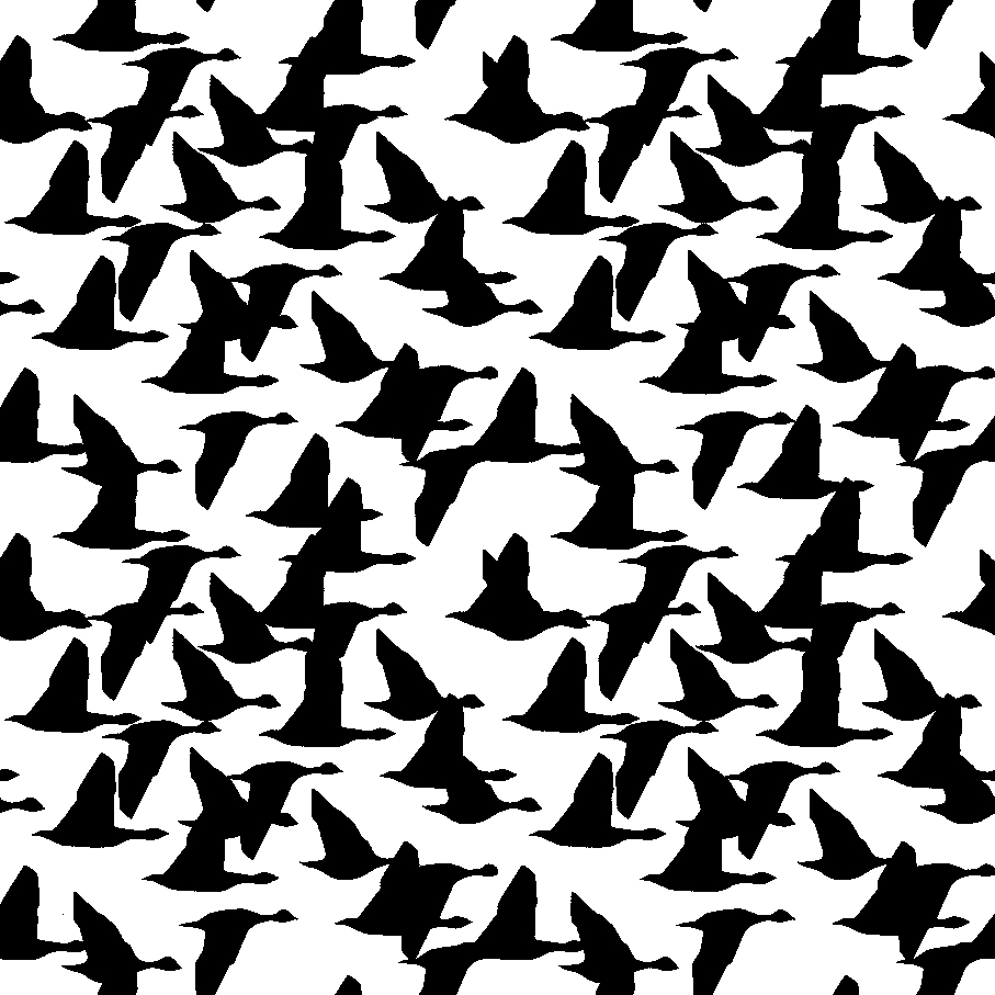 Afficher le produit GCNature Geese du fabricant Graphic Concrete