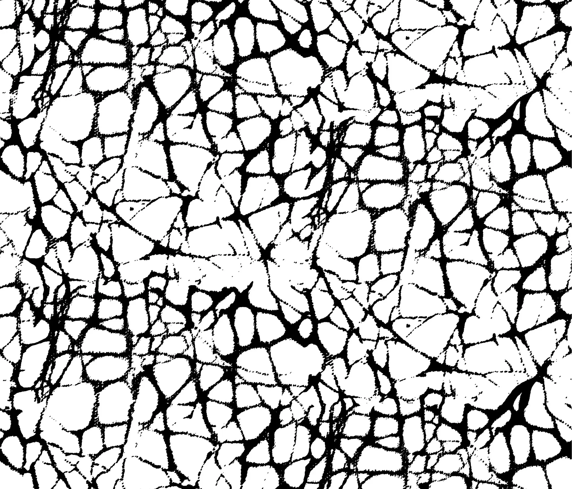 Graphic Concrete - GCNature Juniper