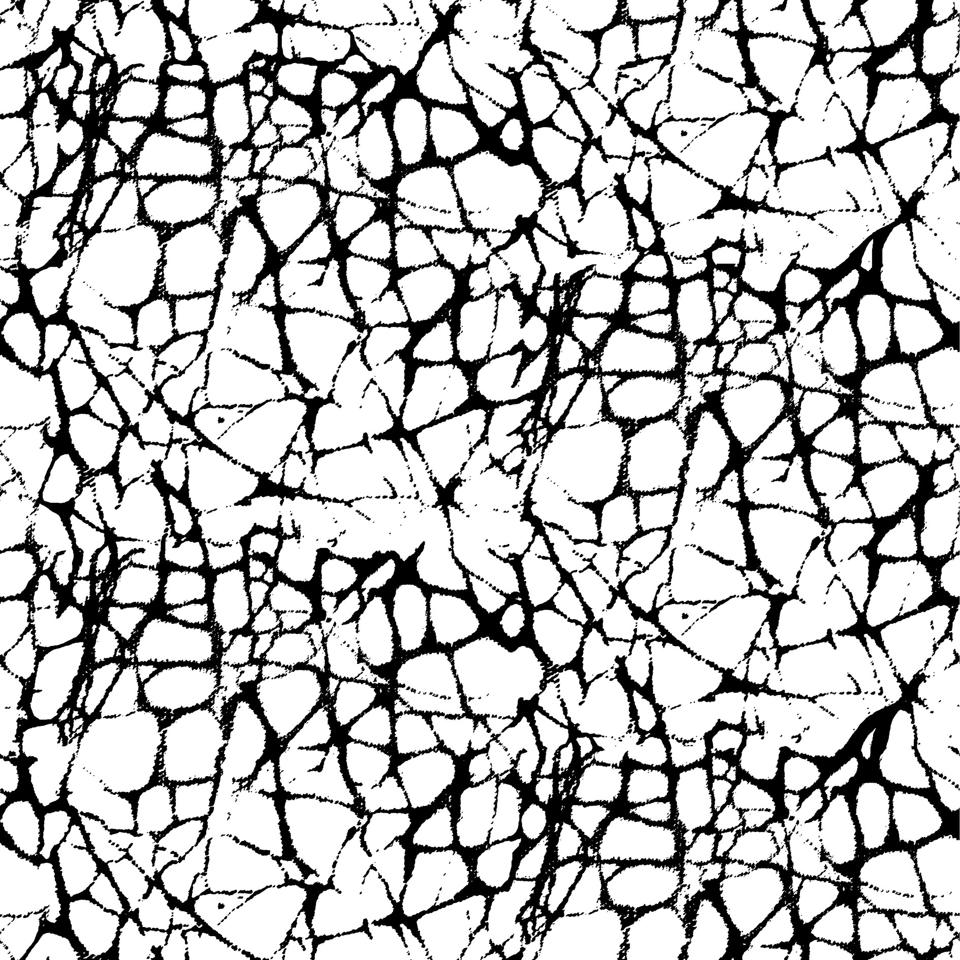 Afficher le produit GCNature Juniper du fabricant Graphic Concrete