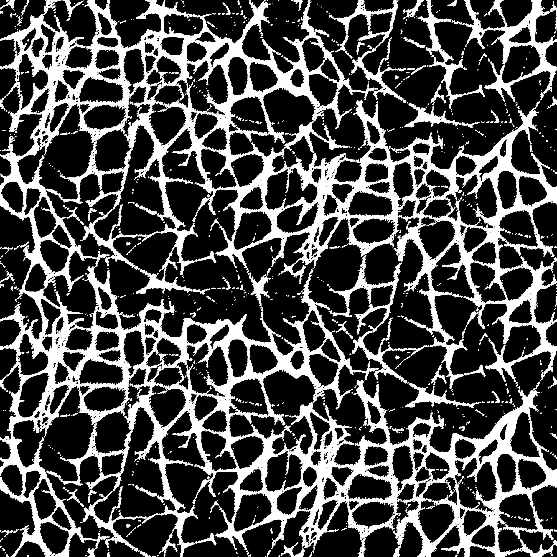 Afficher le produit GCNature Juniper nega du fabricant Graphic Concrete