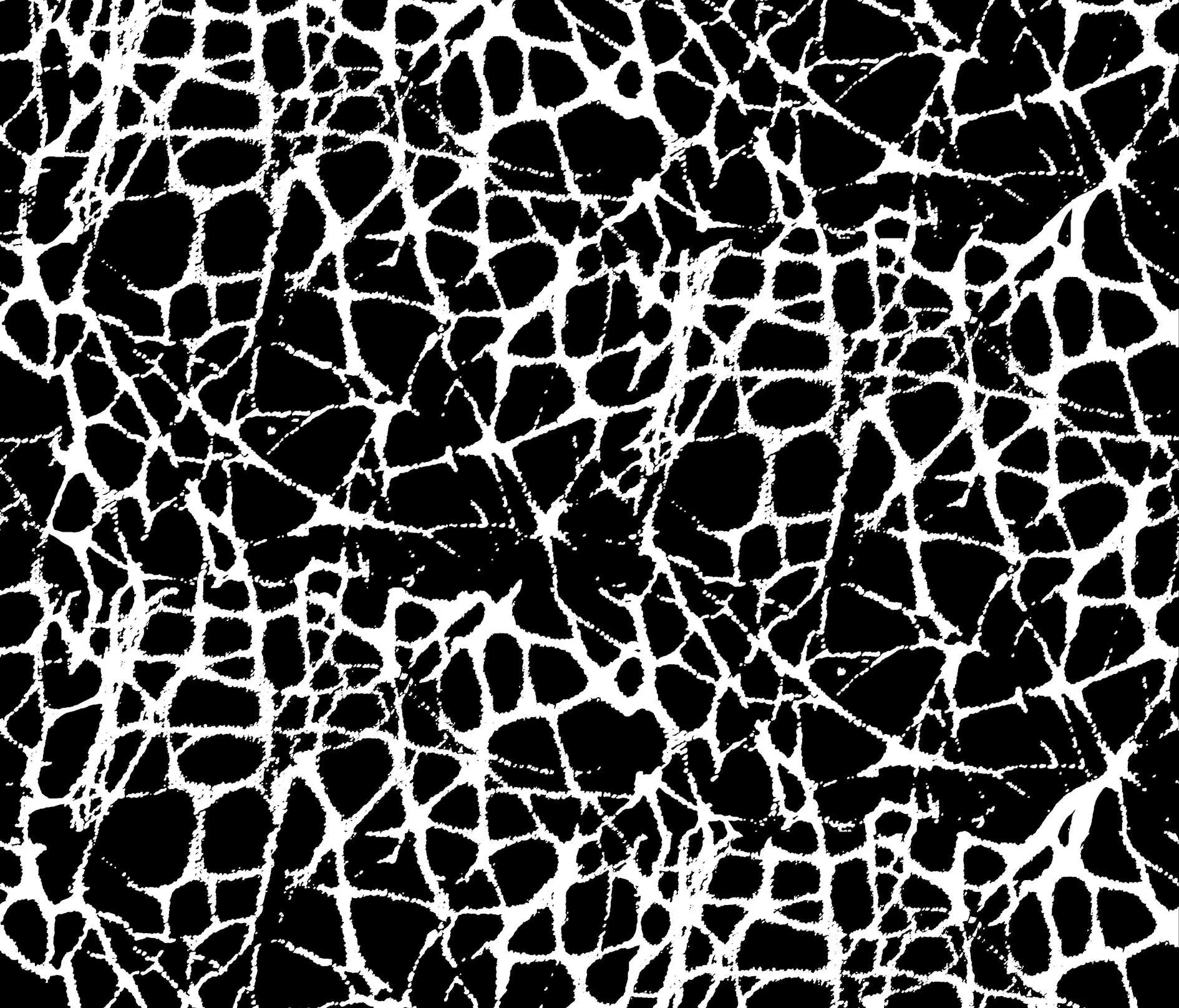 Graphic Concrete - GCNature Juniper nega
