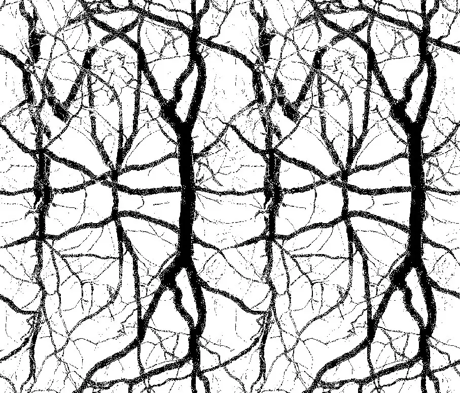 Graphic Concrete - GCNature Roots