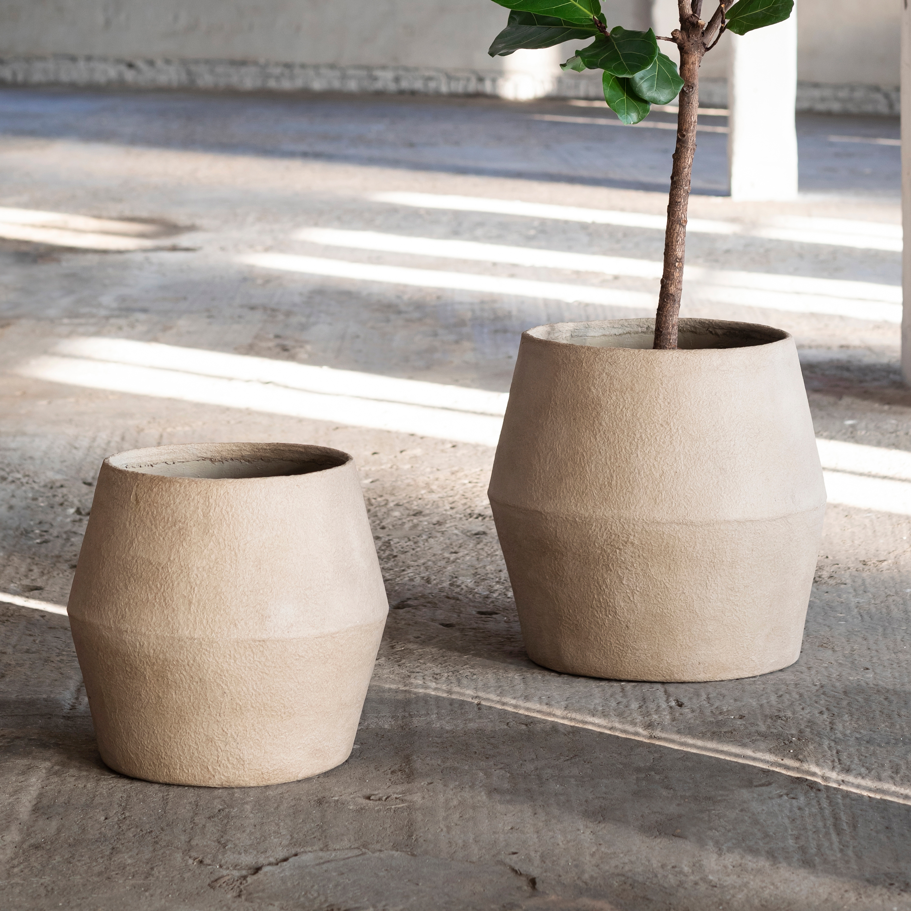 POTTERY & URBAN JUNGLE