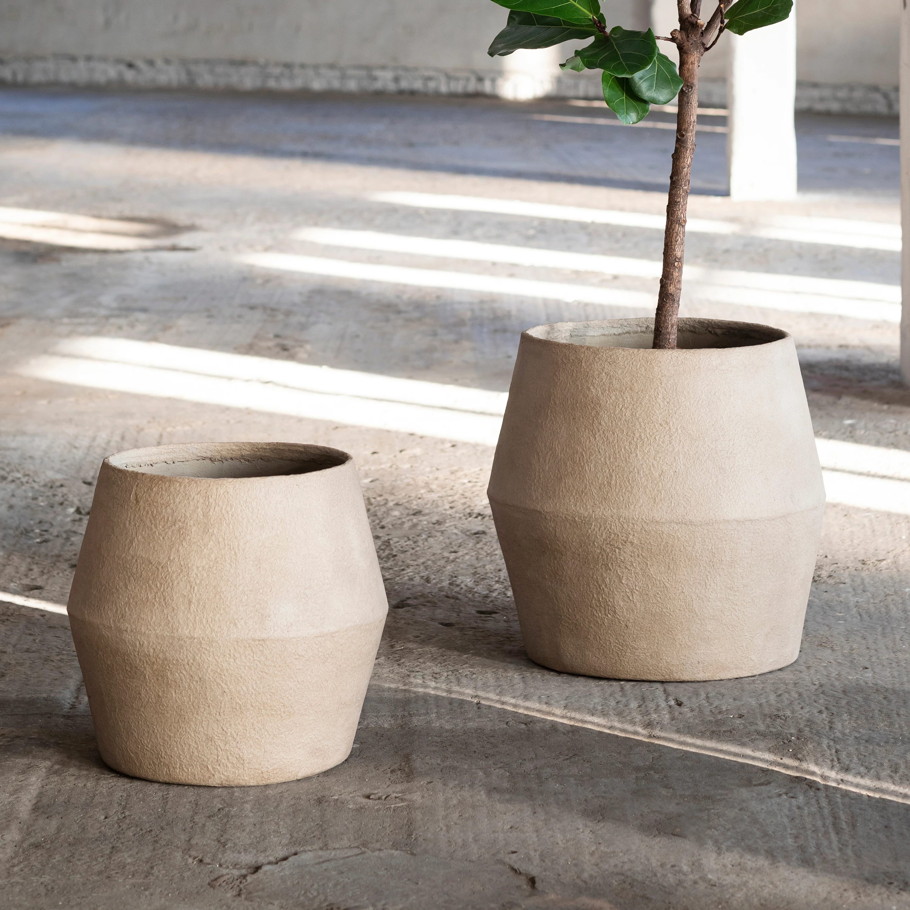 POTTERY & URBAN JUNGLE