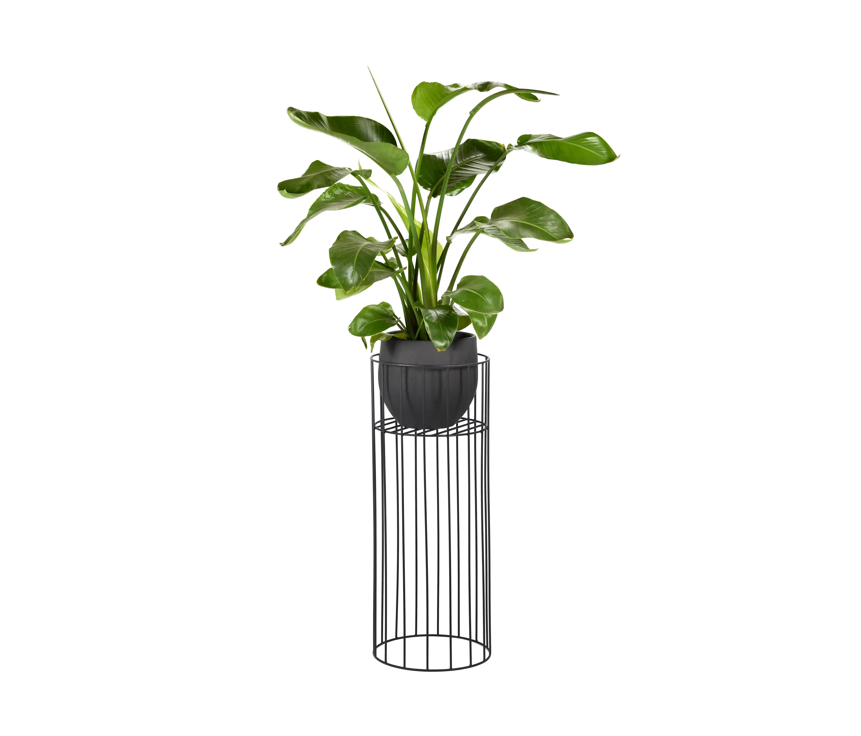 Serax - Metal Blumenstander L Schwarz Vasaro