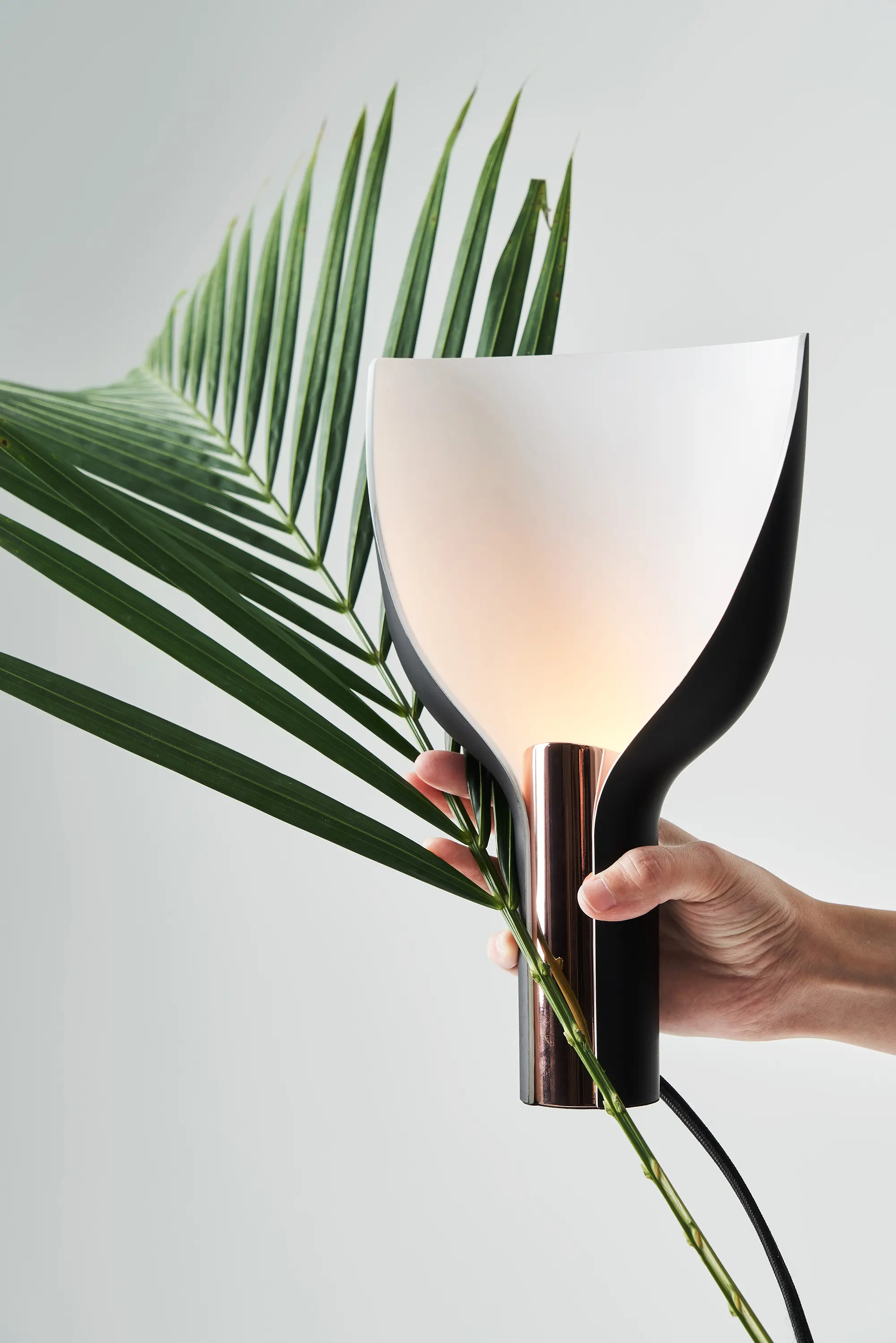 SEEDDESIGN - Firefly