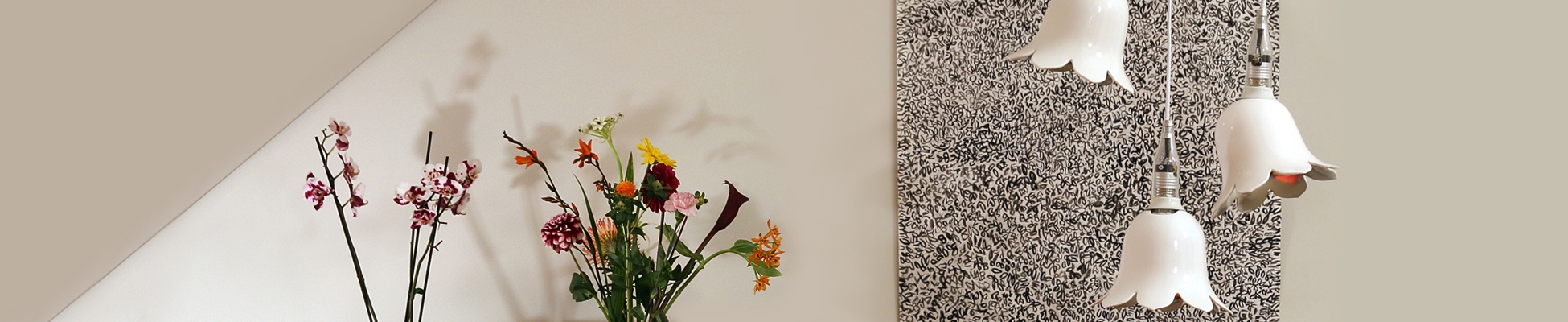 Discover the world of manufacturer Booo