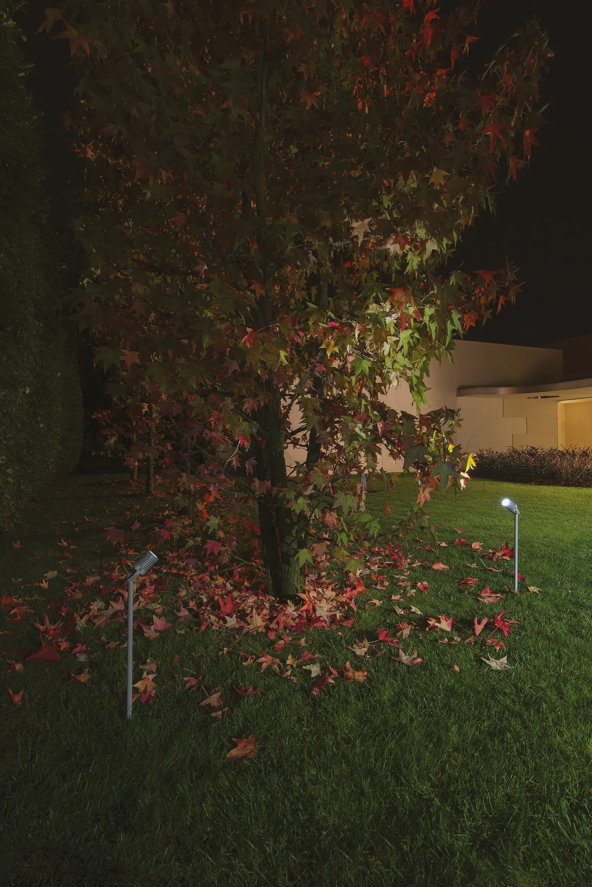 Ares - Iota Power LED / Pole H.500 mm - Adjustable - Narrow Beam 10°