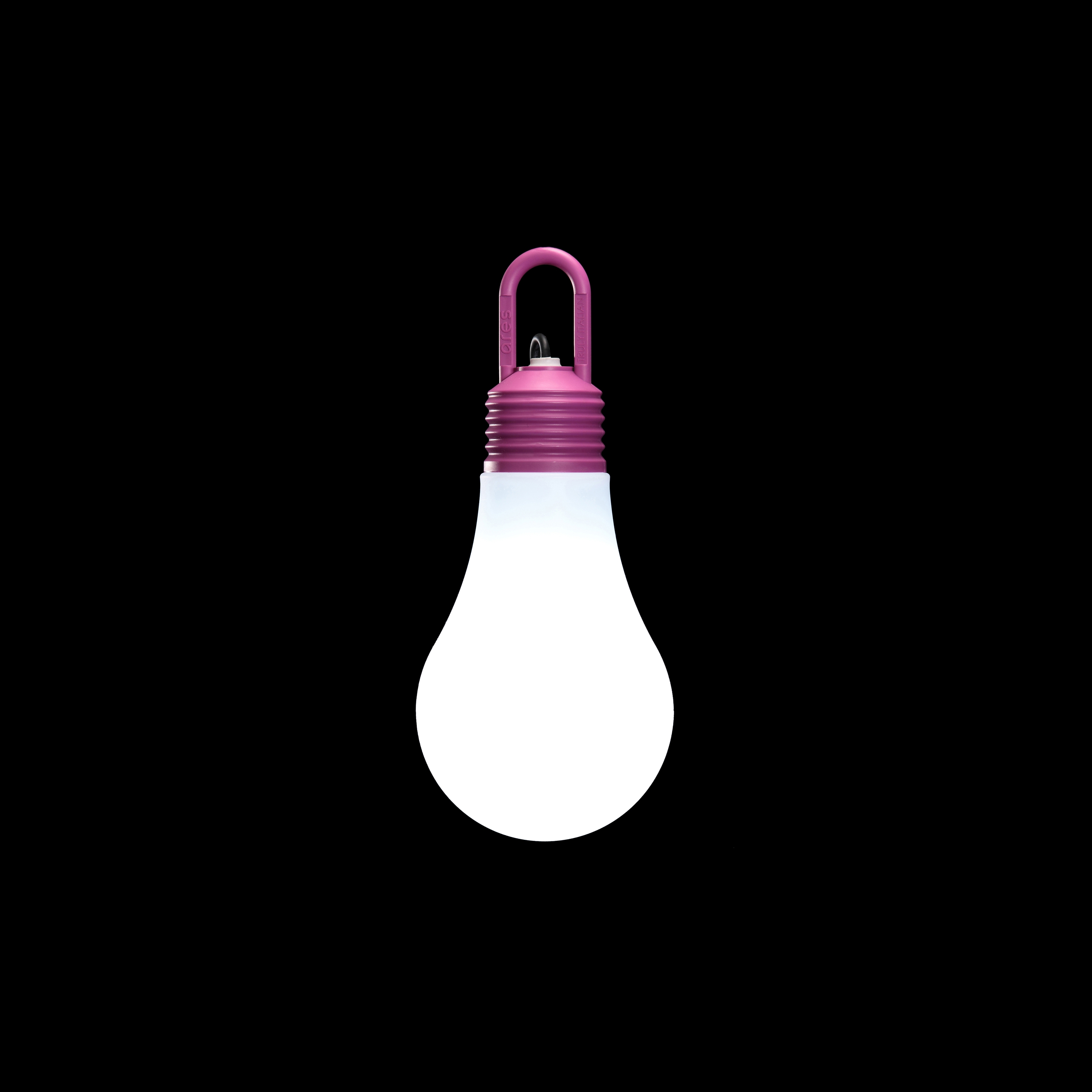 LaDina Fuchsia