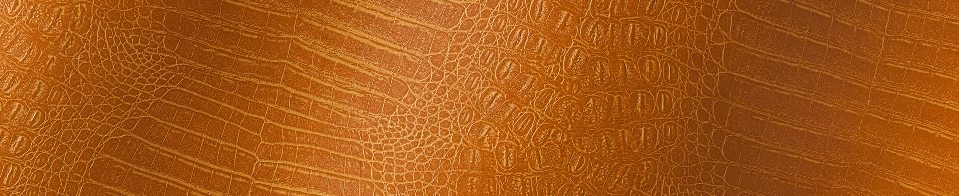 Descubrir el mundo del fabricante AKV International