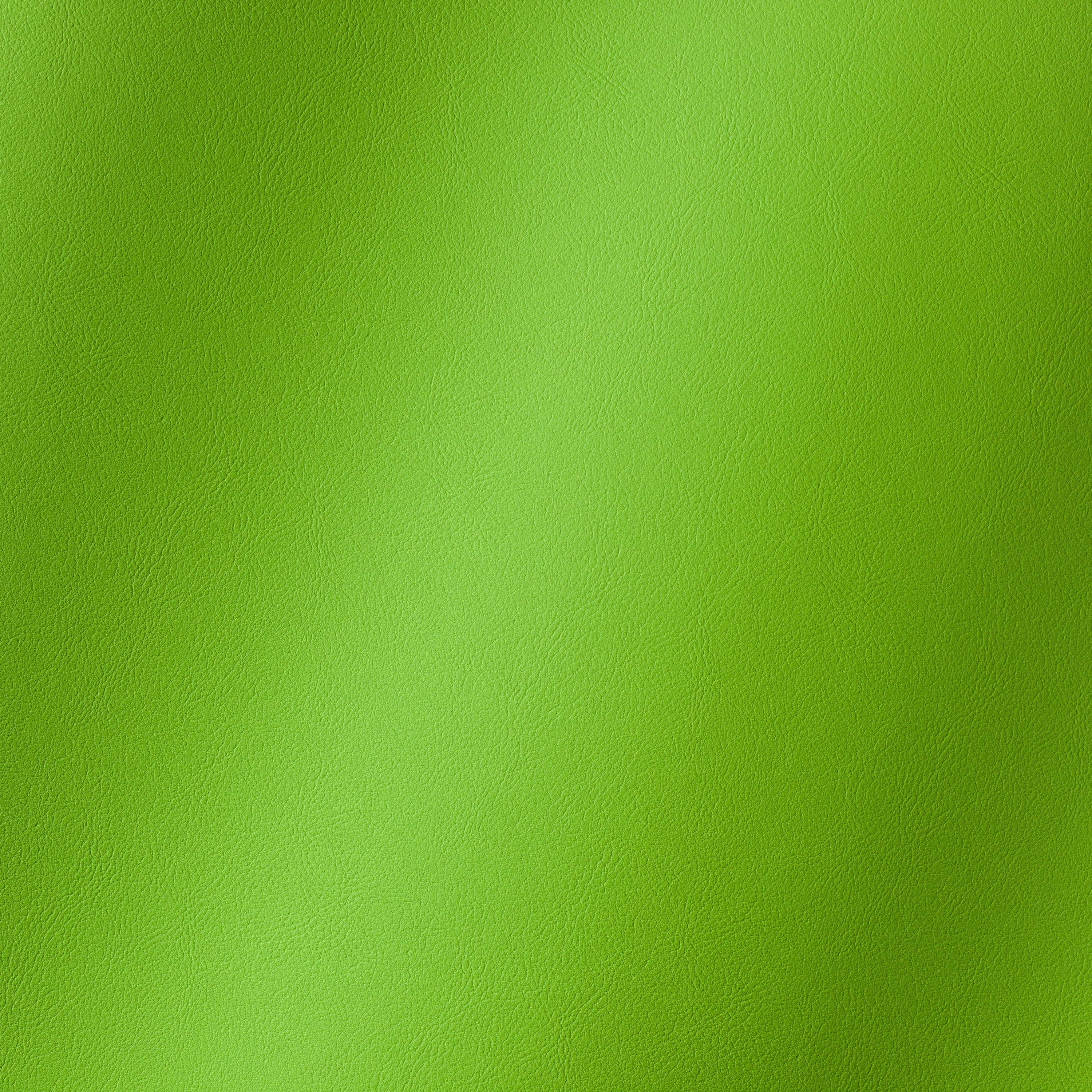 Amalfi parakeet 010427