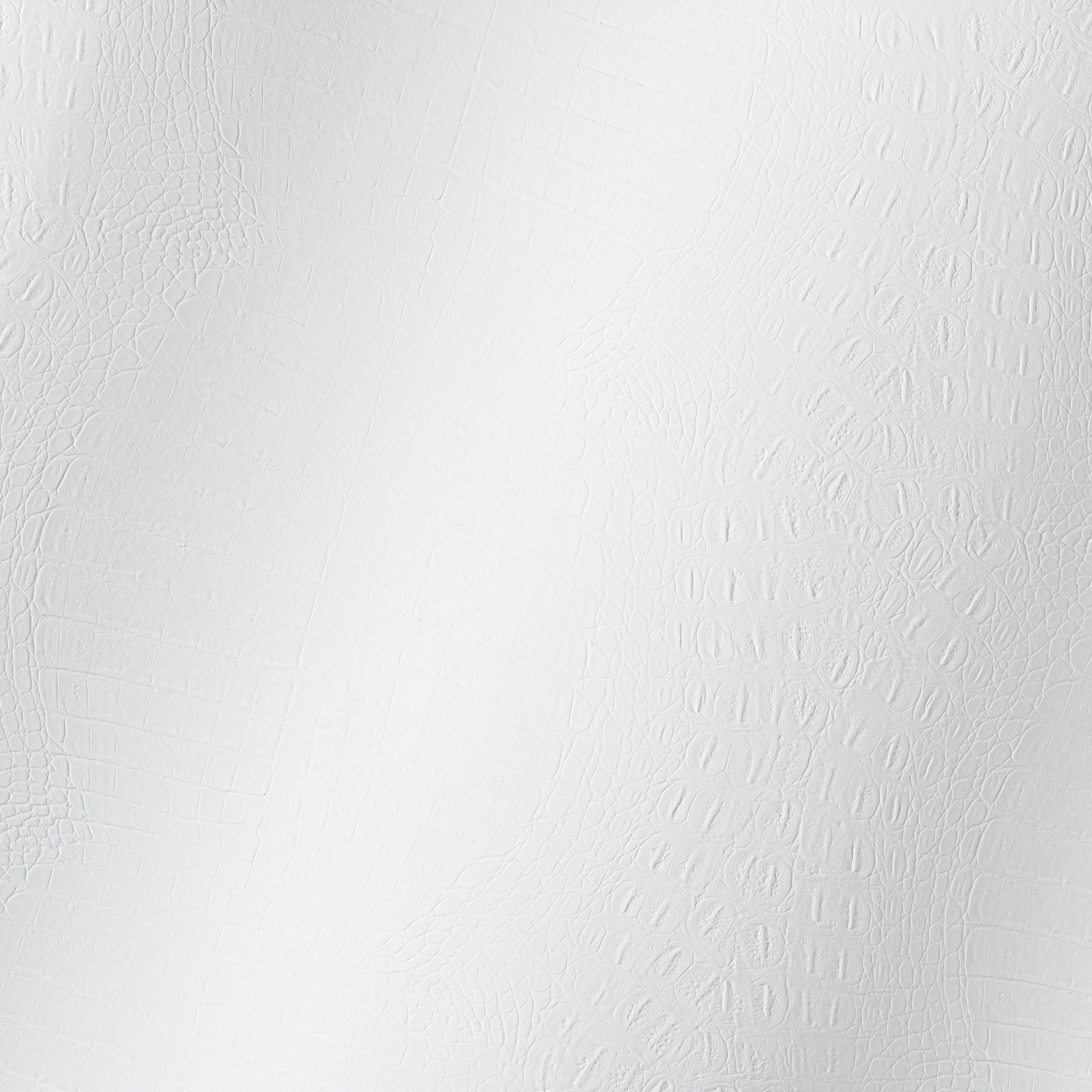 Display product Cordoba Alligator weiss 014161 from manufacturer AKV International
