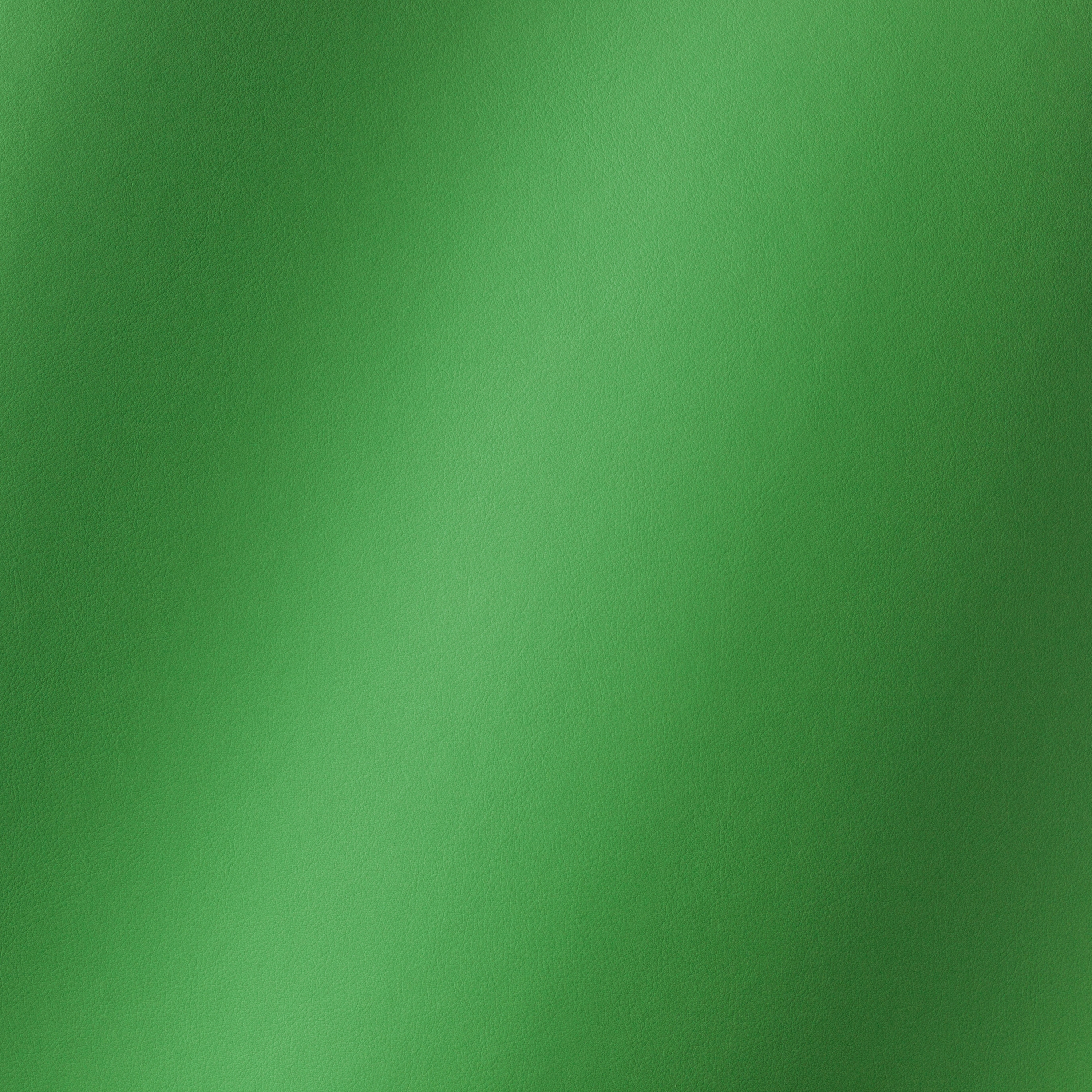 Peri kiwi 015816