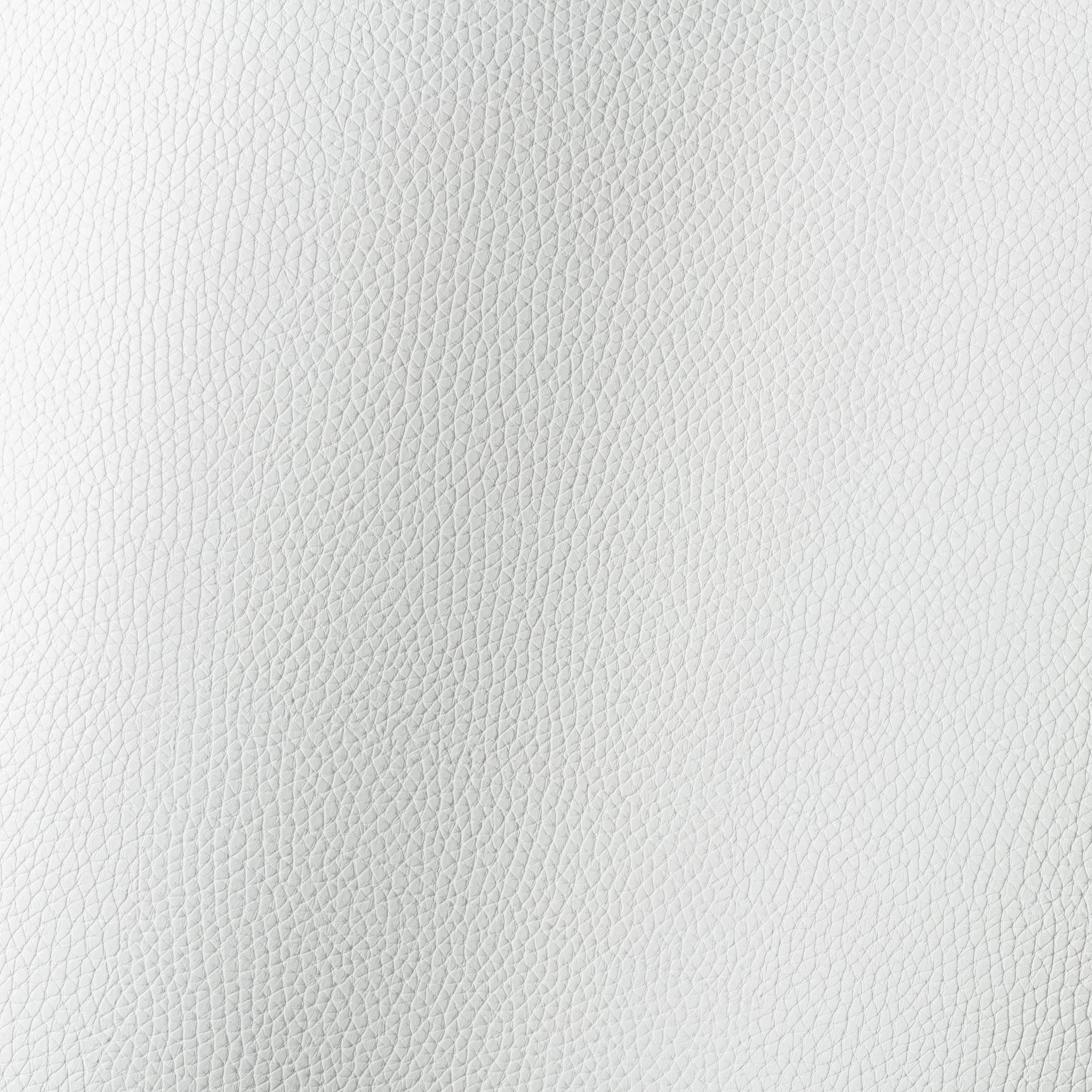 Bologna weiss 018500