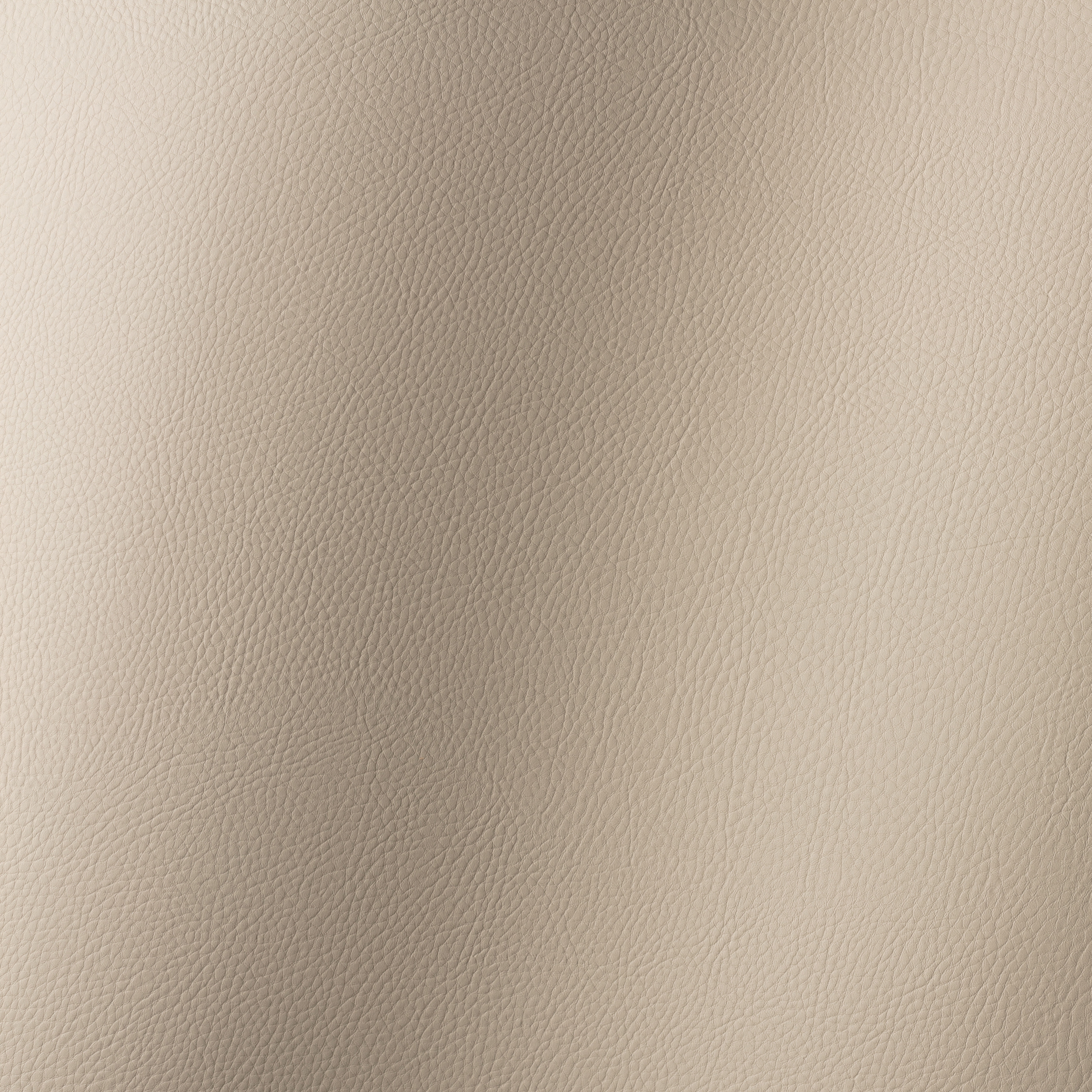 Torino cashmere 019784