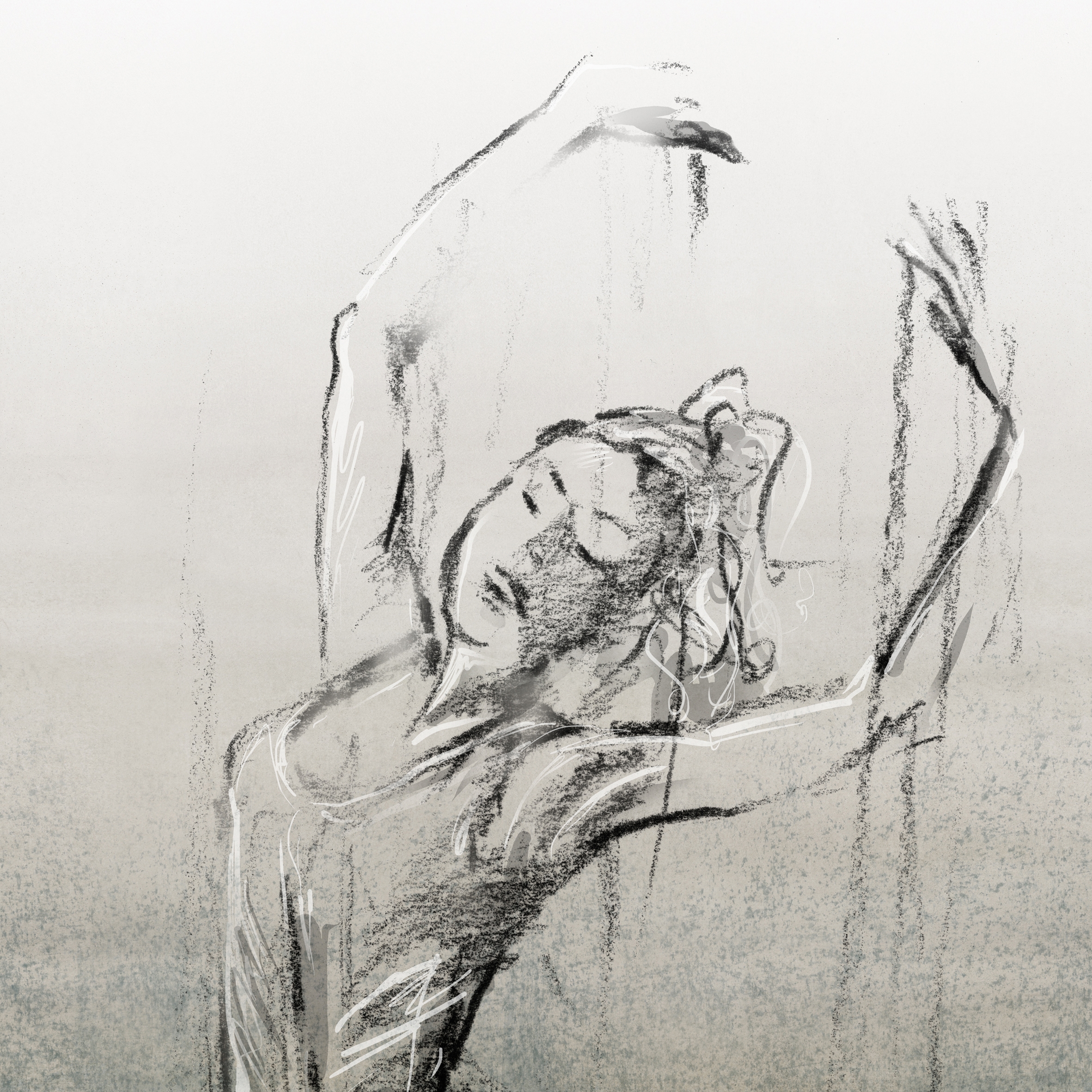 Afficher le produit Wonderwall | Ballet C du fabricant Cotto d'Este