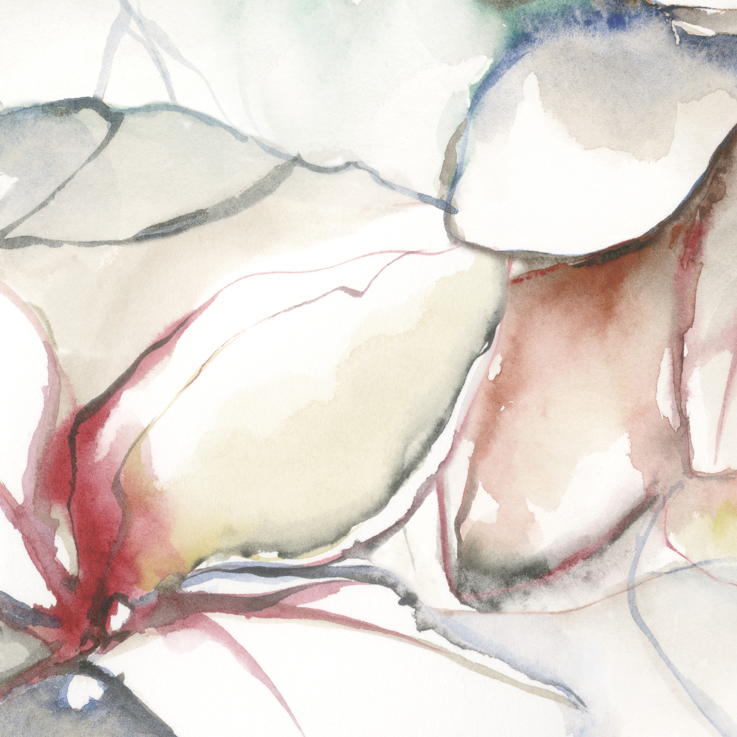 Mostra il prodotto Wonderwall | Lotus A del produttore Cotto d'Este