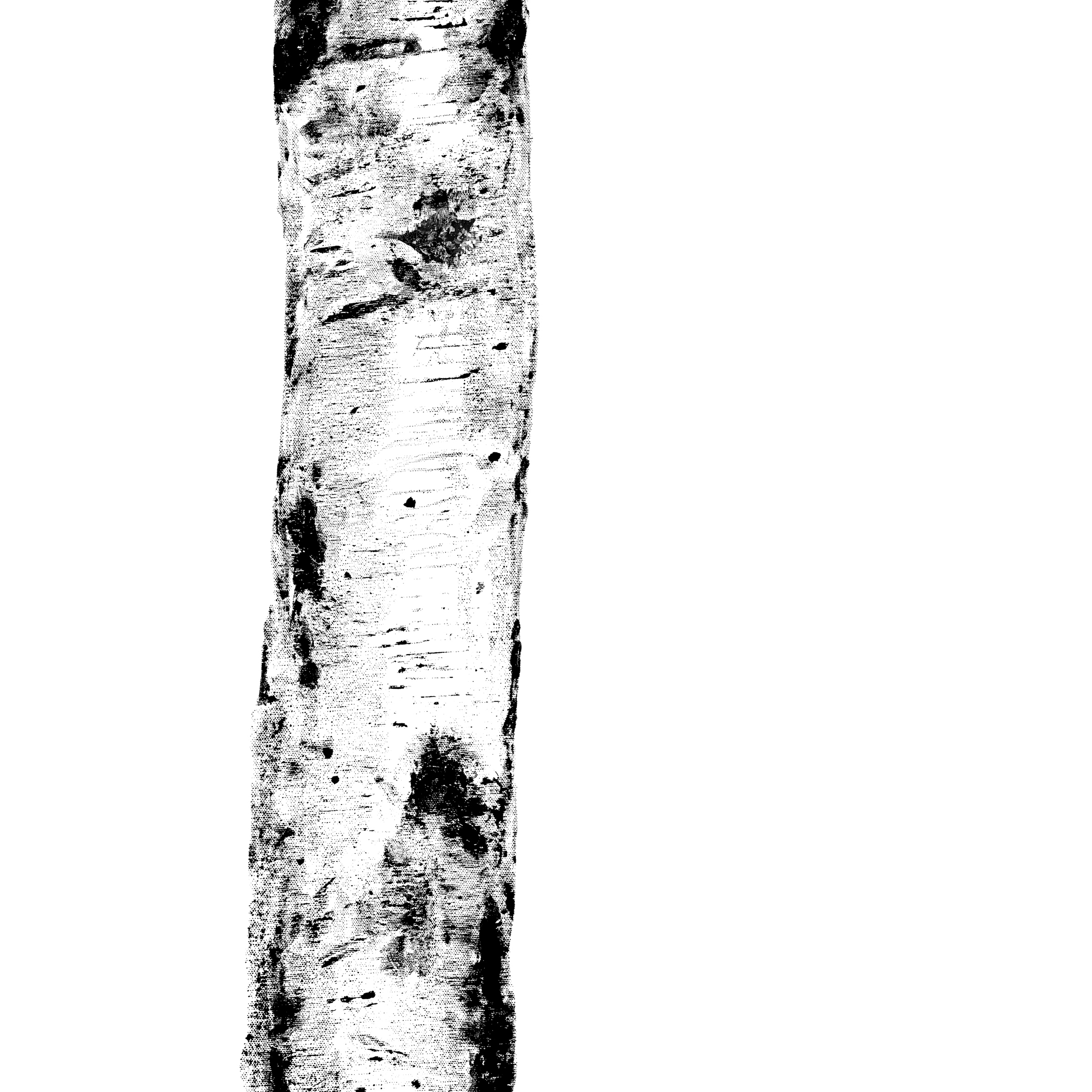 Mostrar el producto Wonderwall | Ritmi A del fabricante Cotto d'Este