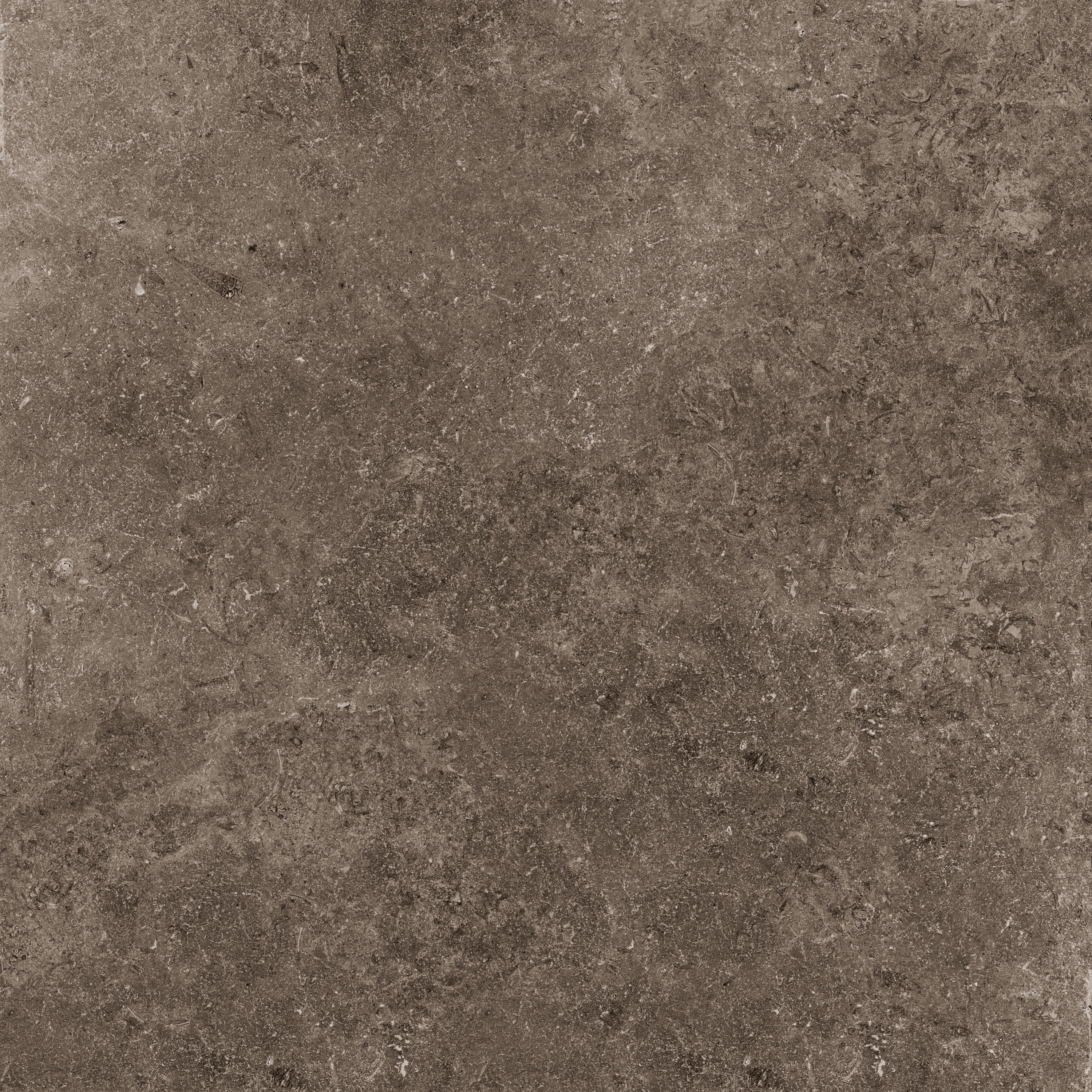 Mostra il prodotto Secret Stone | Rare Dark del produttore Cotto d'Este