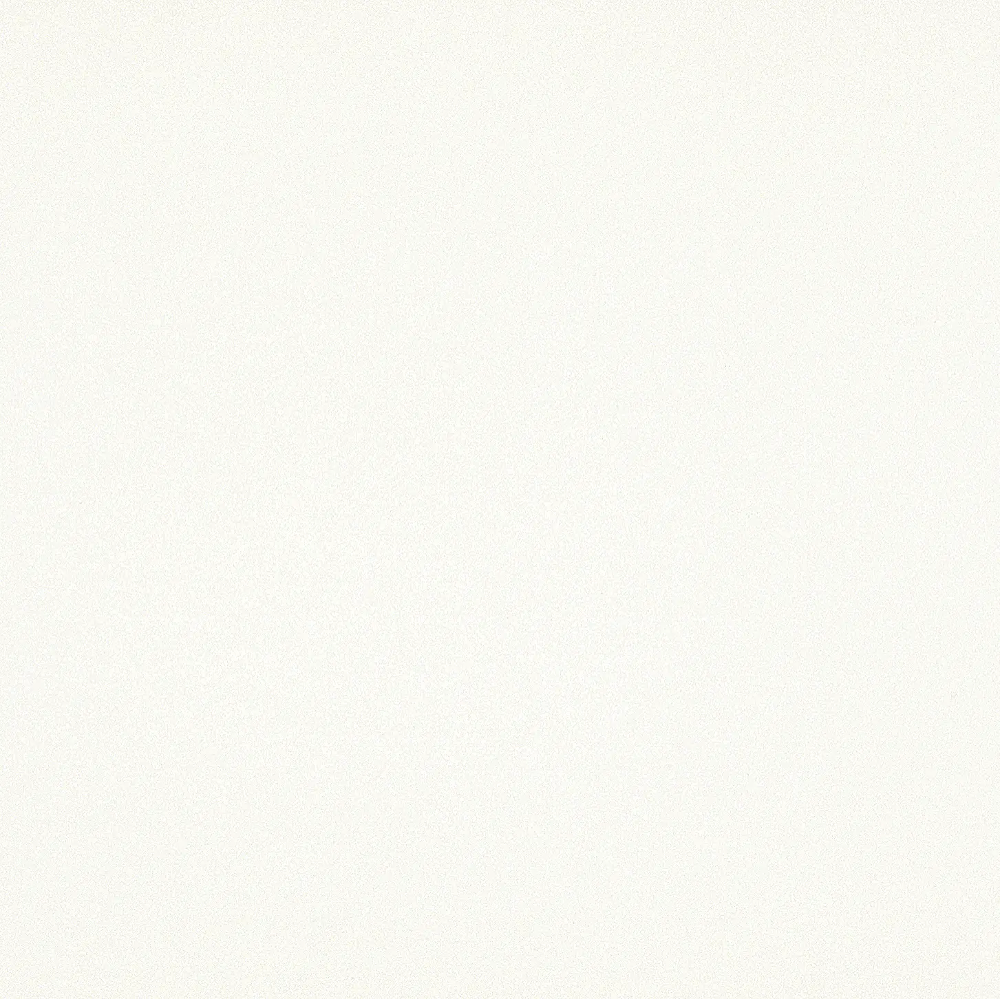 Cotto d'Este - Black-White | Snow