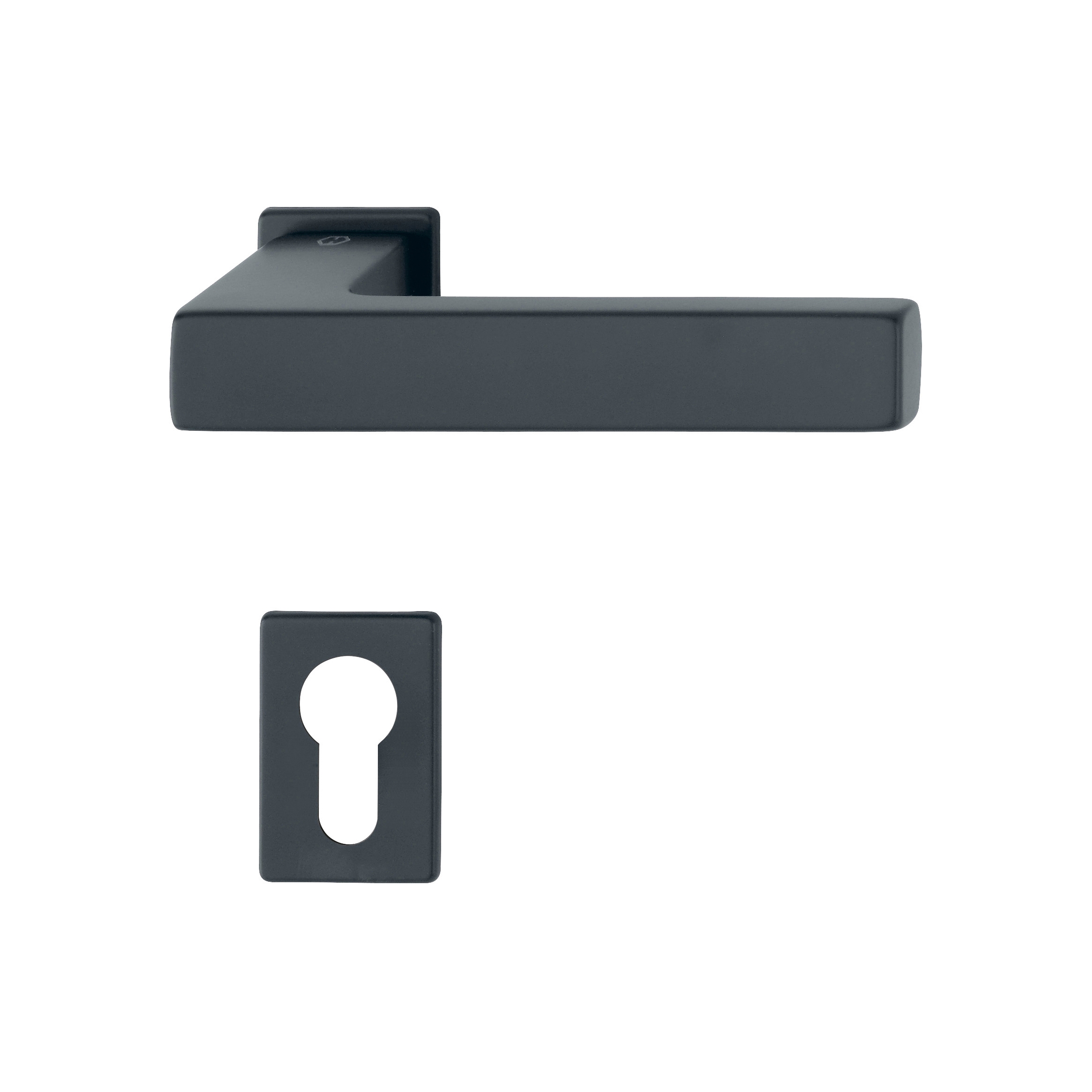 Austin Door Handle in Compact Rose