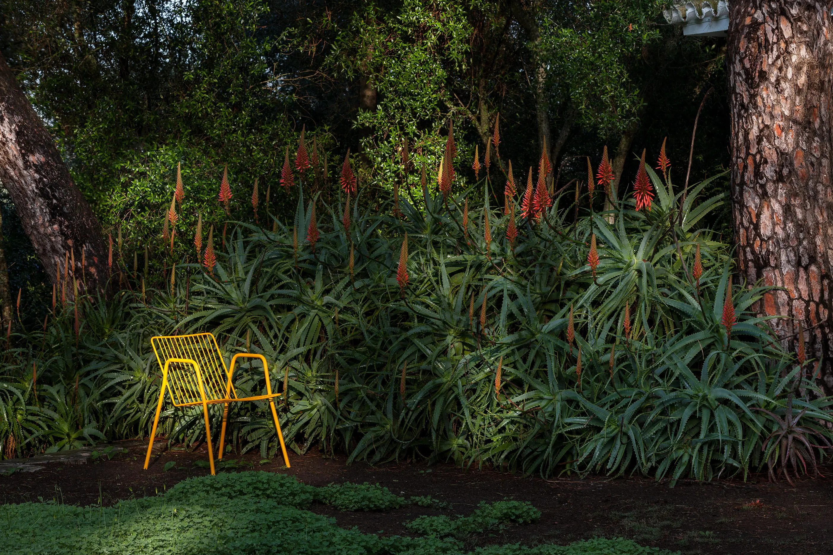 iSimar - Niza Stool