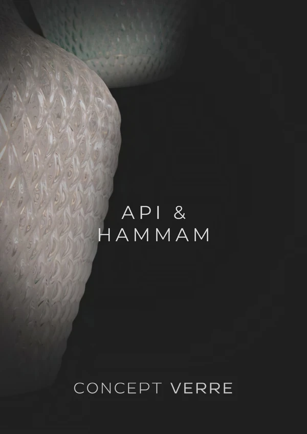 Image d’aperçu du fichier API & HAMMAM