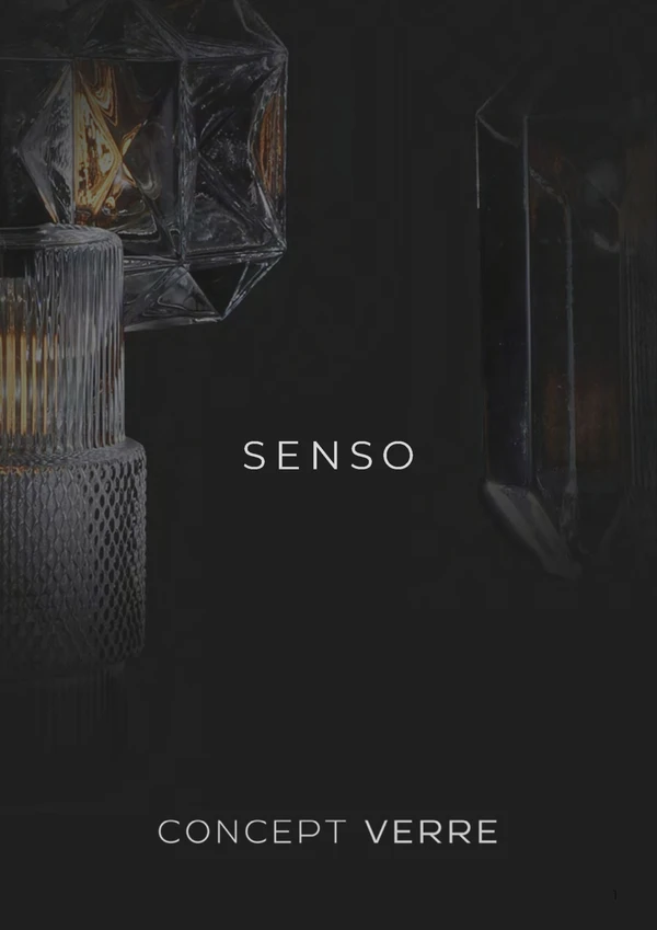 Image d’aperçu du fichier SENSO