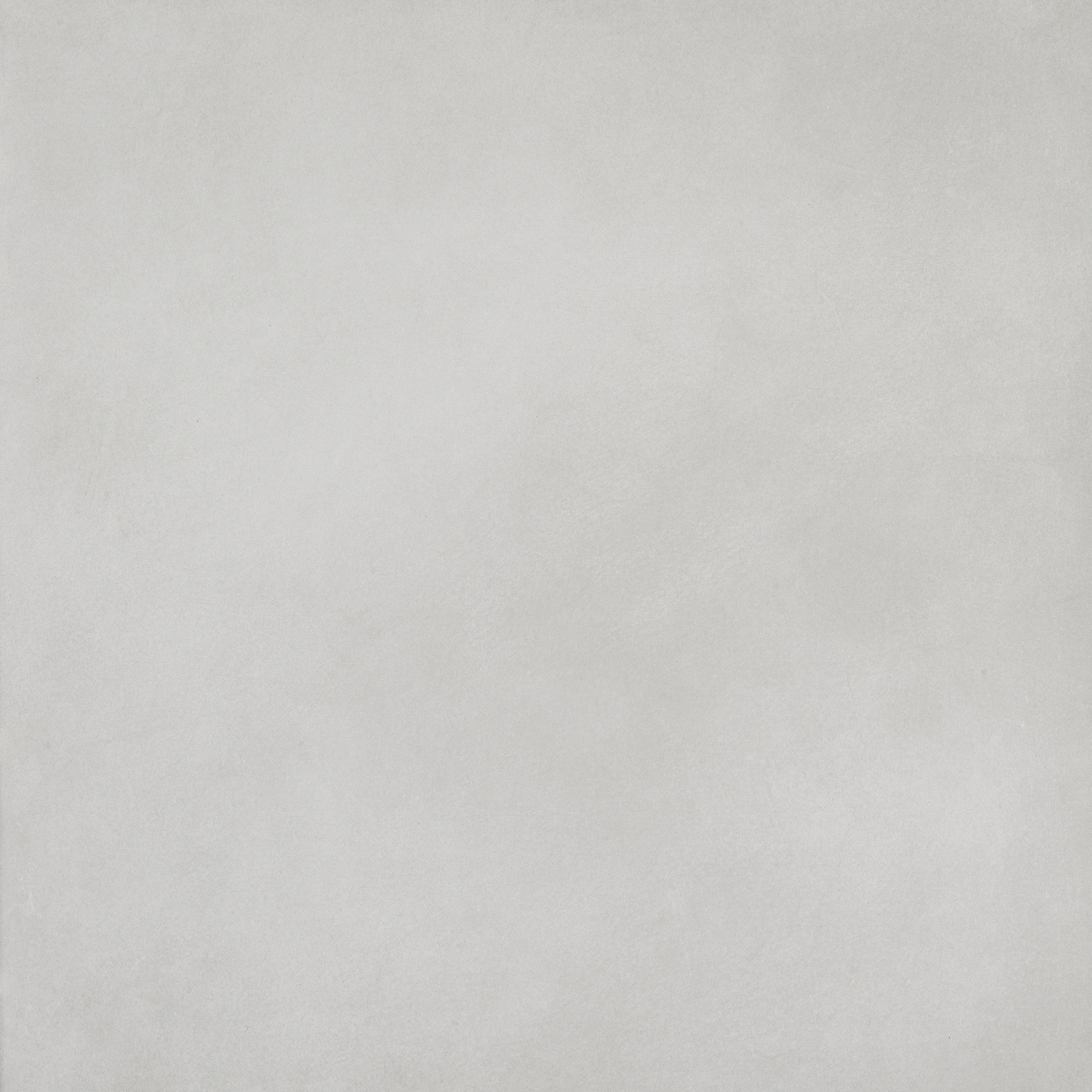 Evolution Blanco