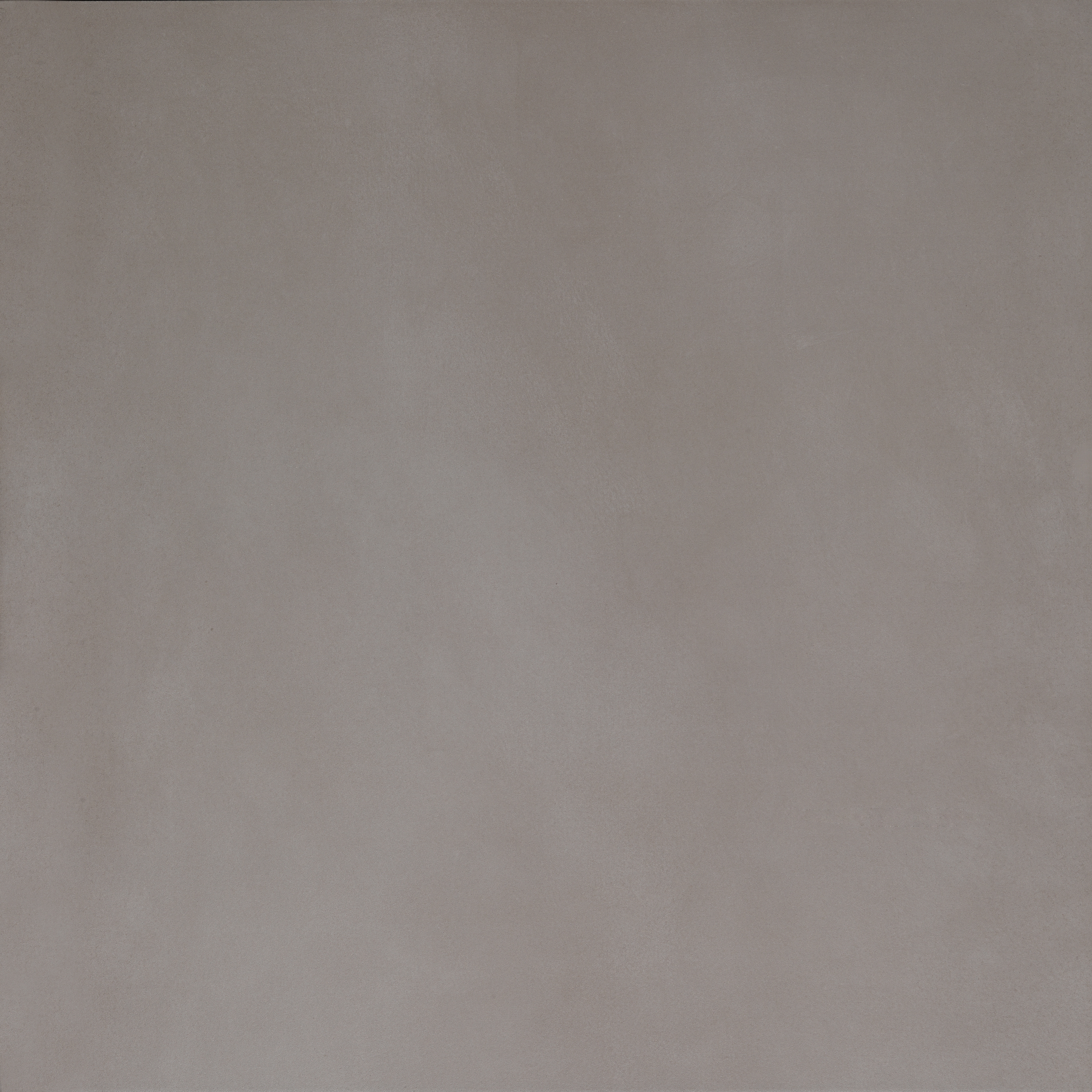 Evolution Taupe