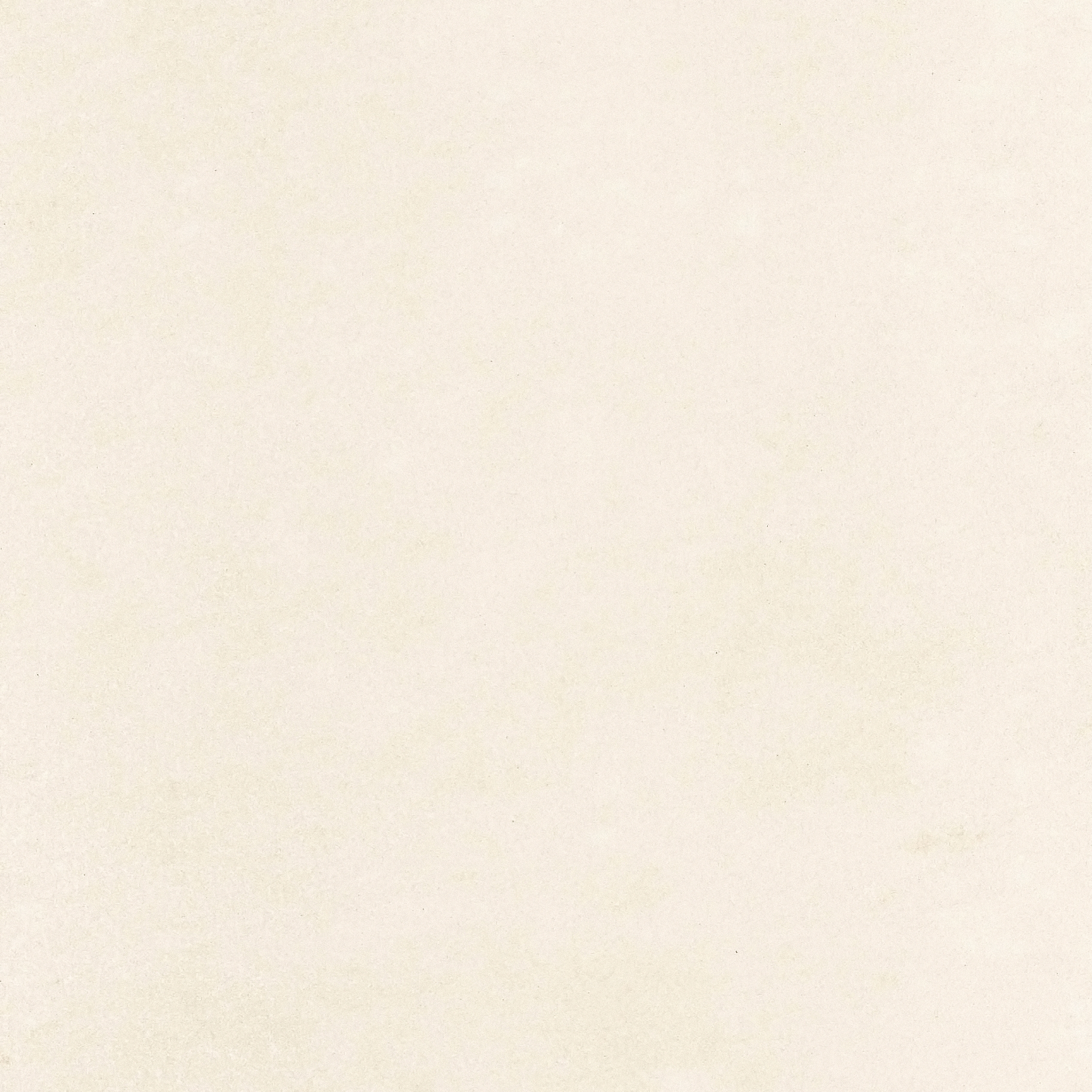 Hydra Beige