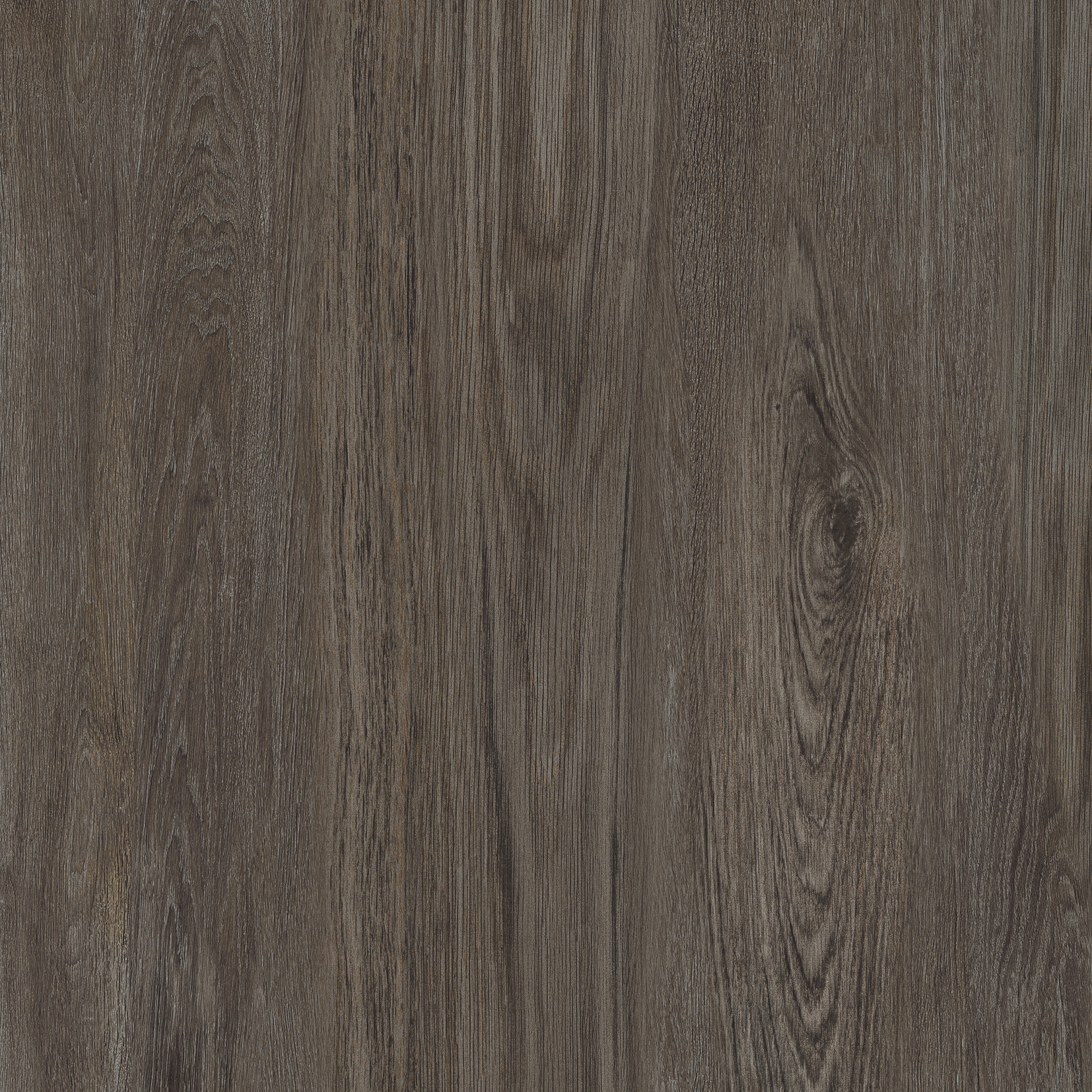 Wood Oak
