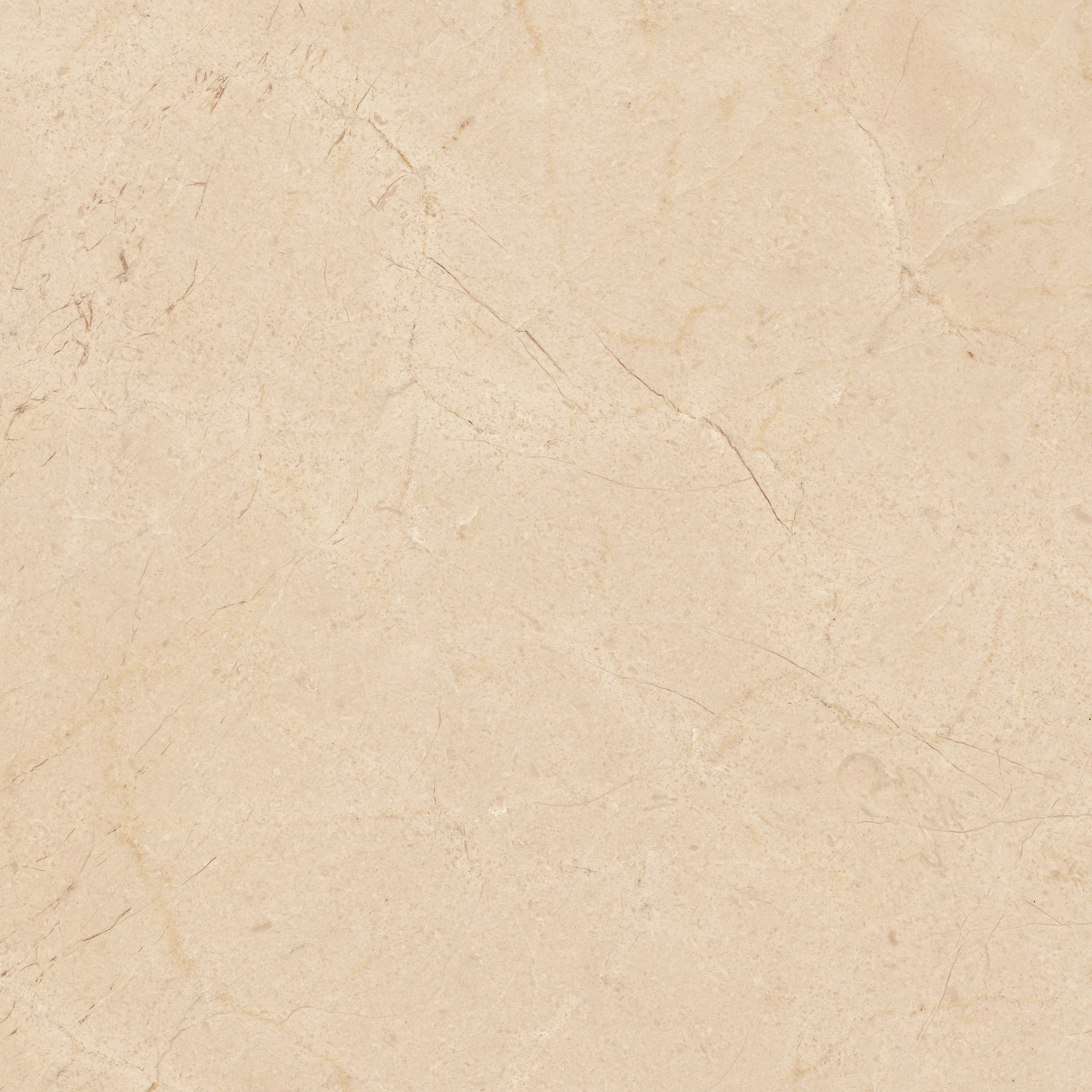 Display product Crema Marfil Coto® from manufacturer LEVANTINA