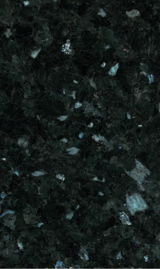 LEVANTINA - Labrador Oscuro