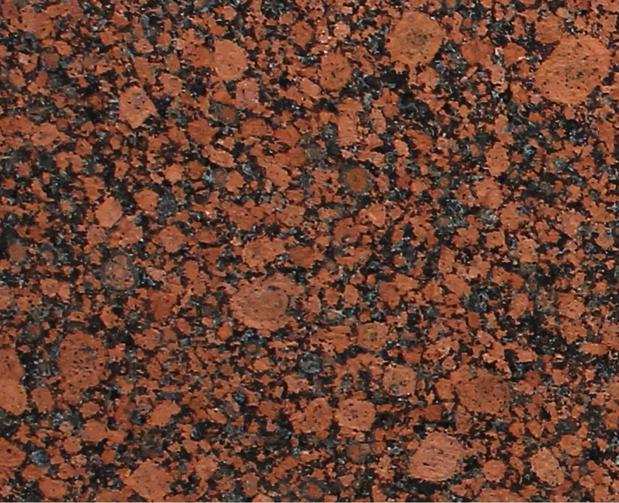 LEVANTINA - Karelia Red