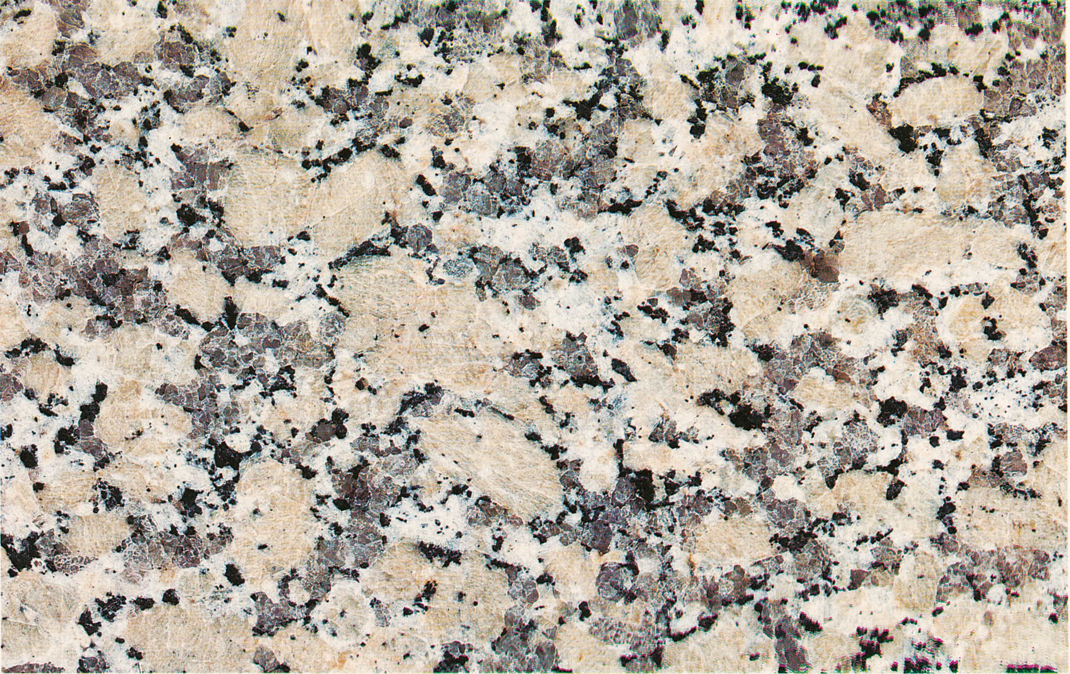 LEVANTINA - Crema Julia