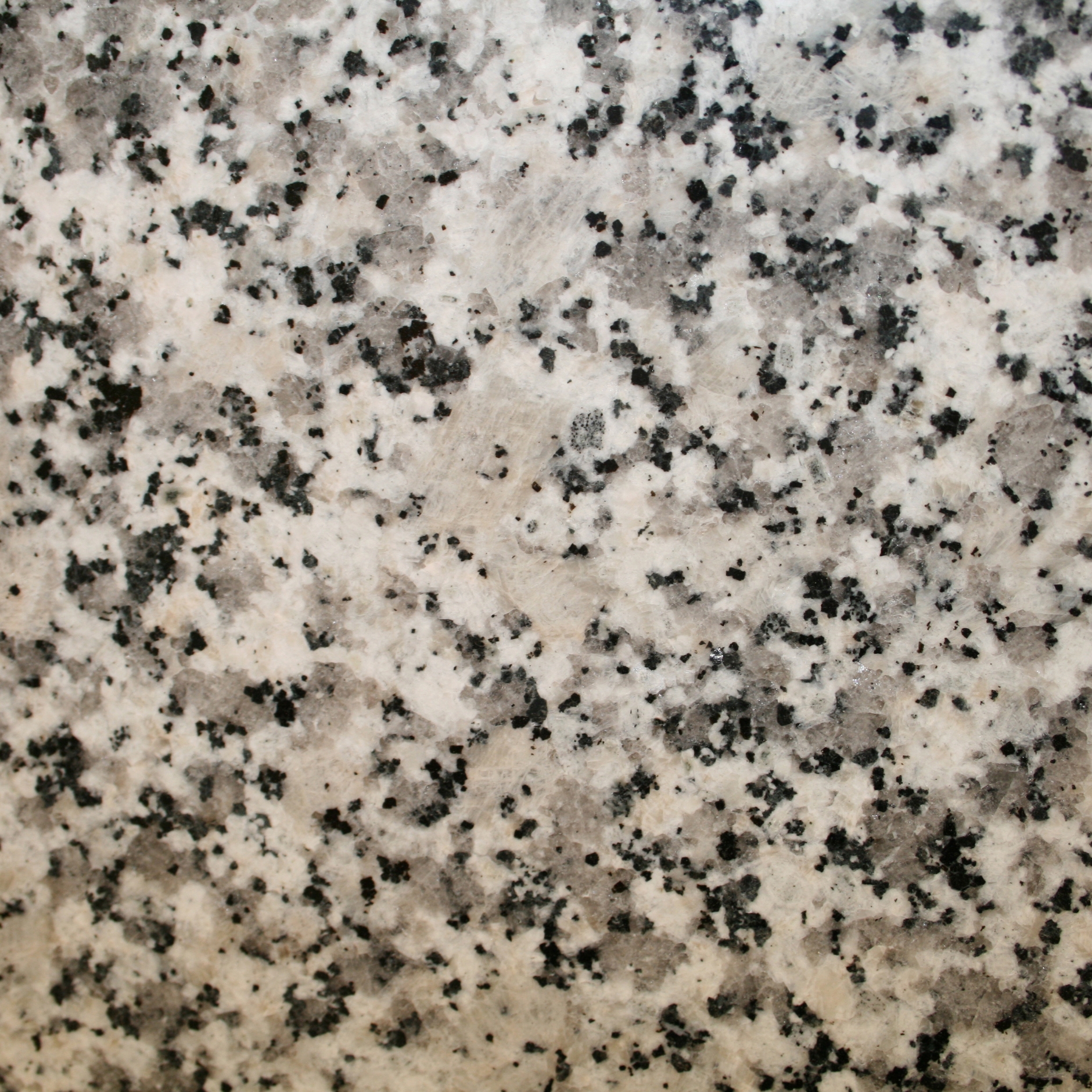 Mostrar el producto Blanco Perla del fabricante LEVANTINA