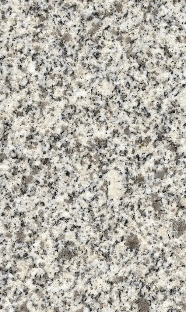 LEVANTINA - Silver White