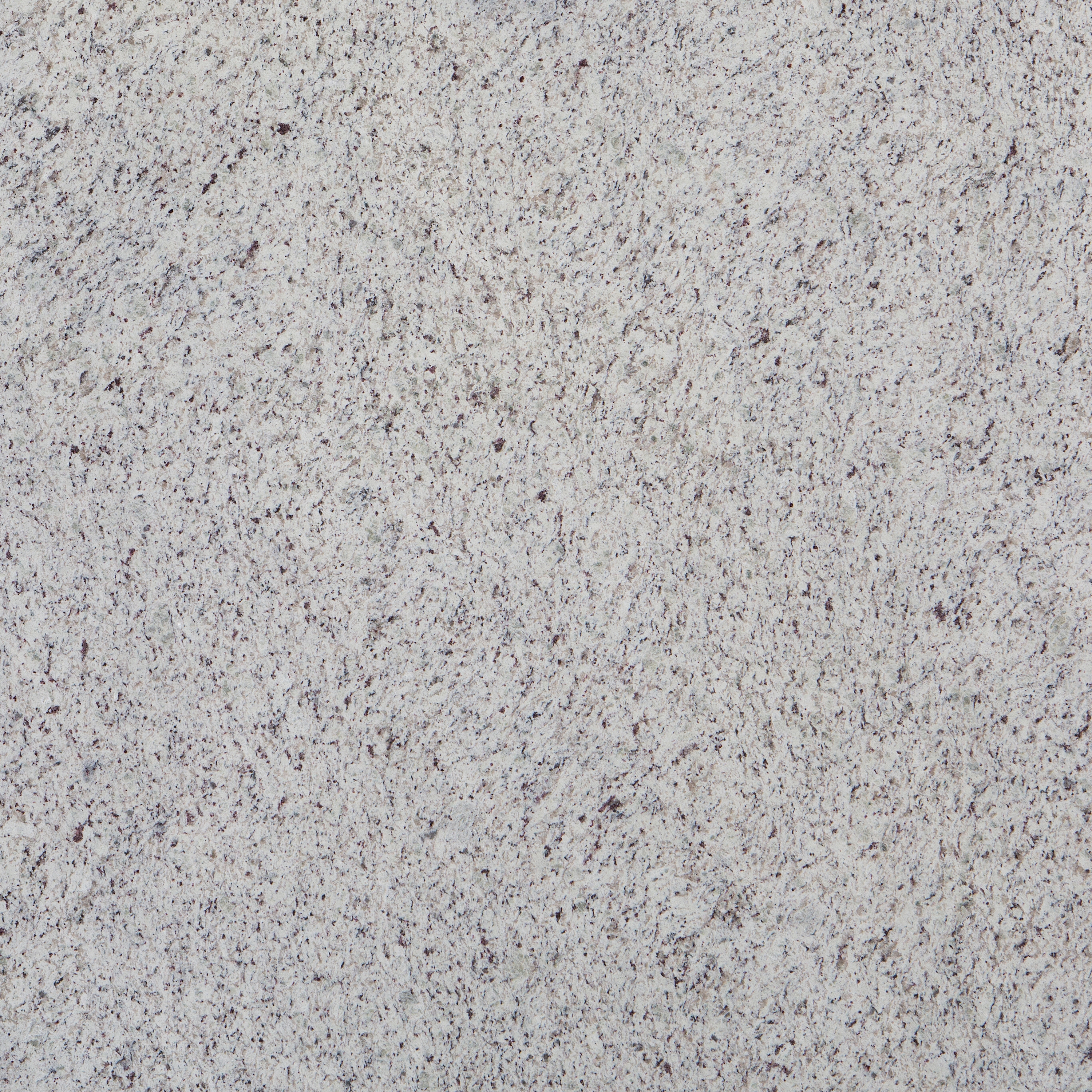 Mostrar el producto White Rose del fabricante LEVANTINA