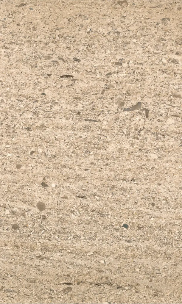 LEVANTINA - Crema Moka