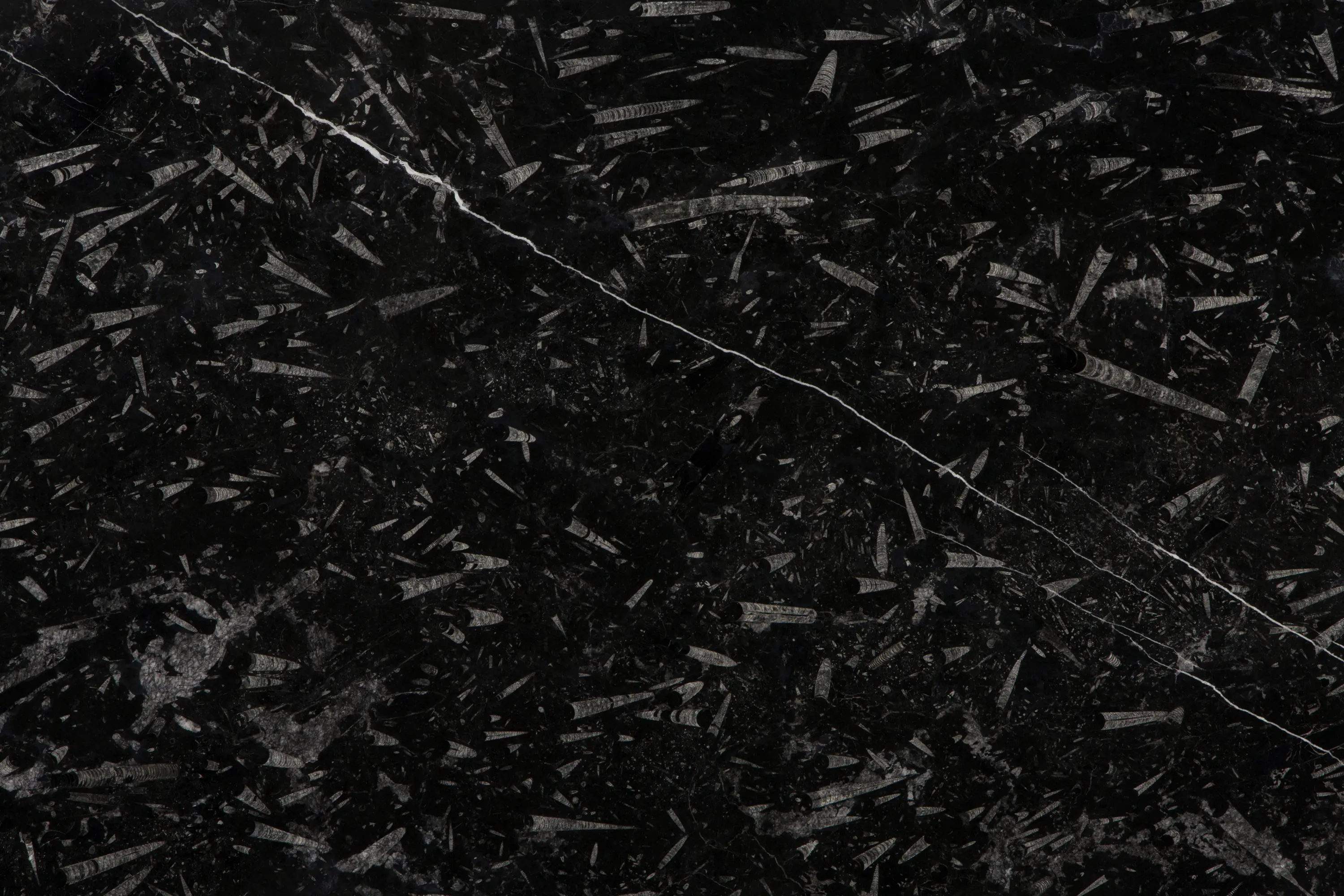 LEVANTINA - Devonian Black