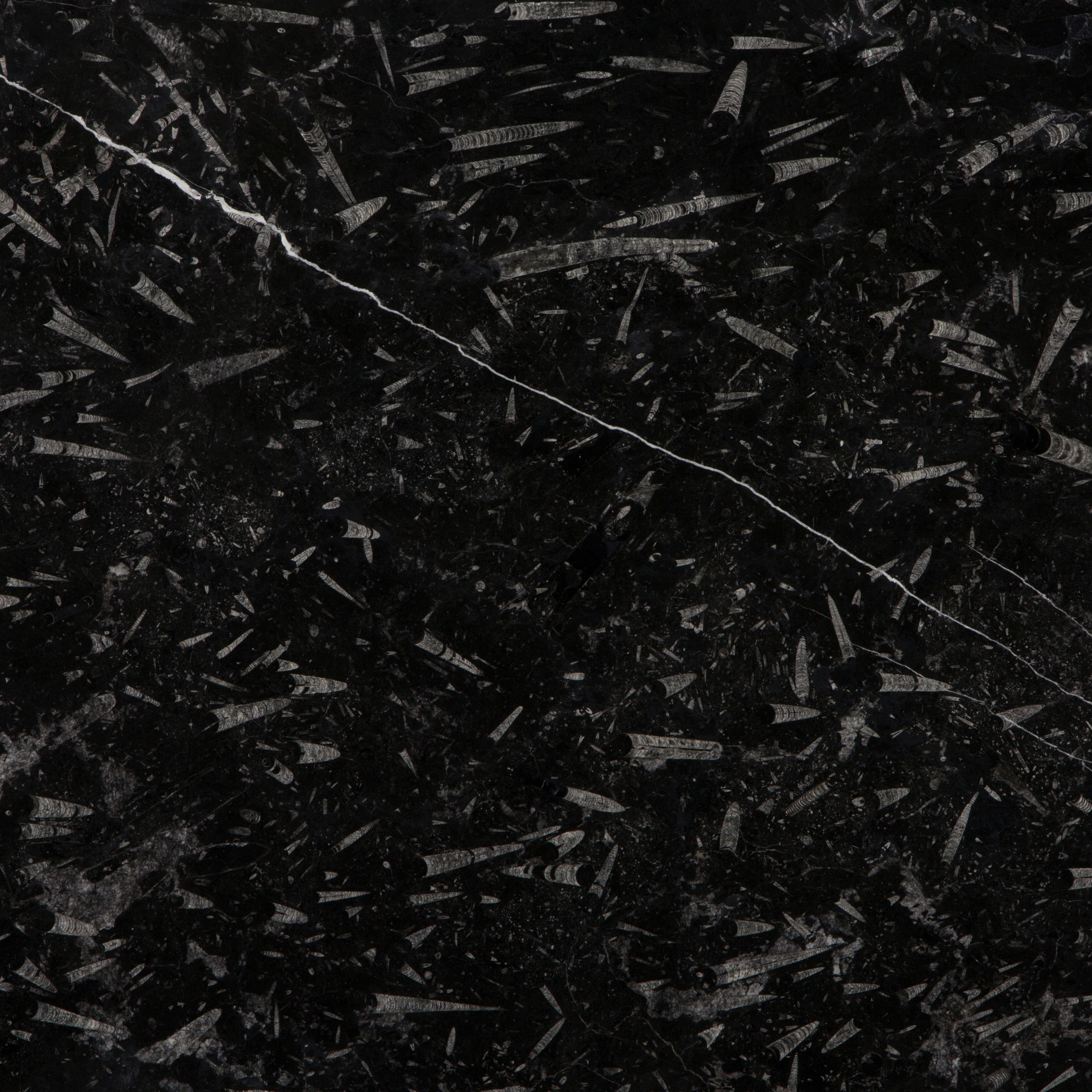 Display product Devonian Black from manufacturer LEVANTINA