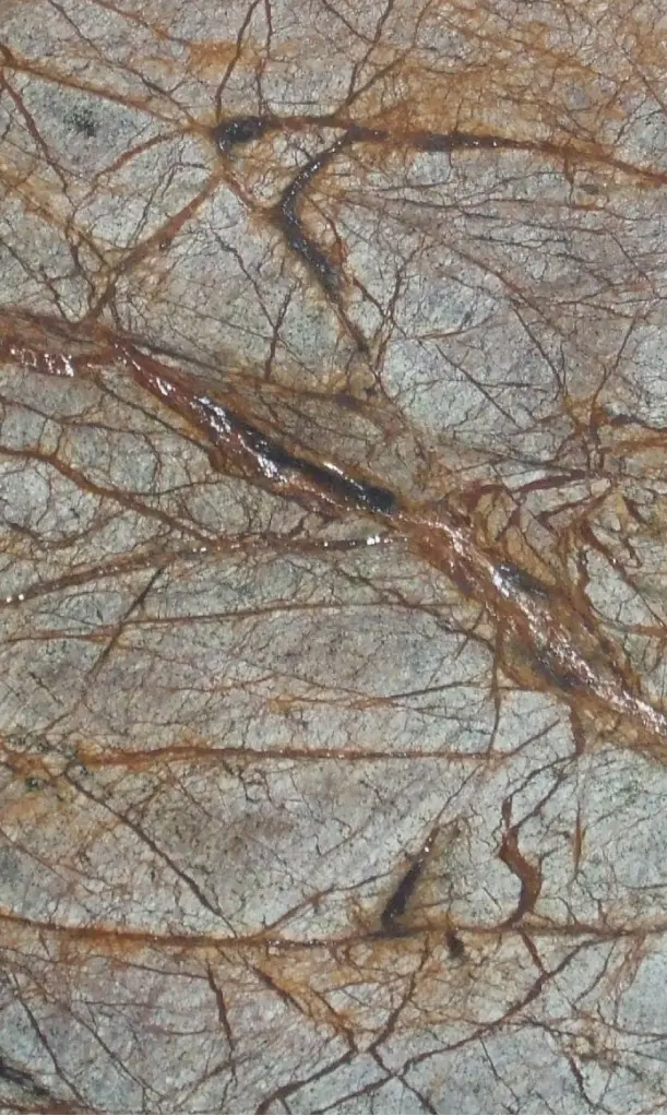 LEVANTINA - Rain Forest Brown