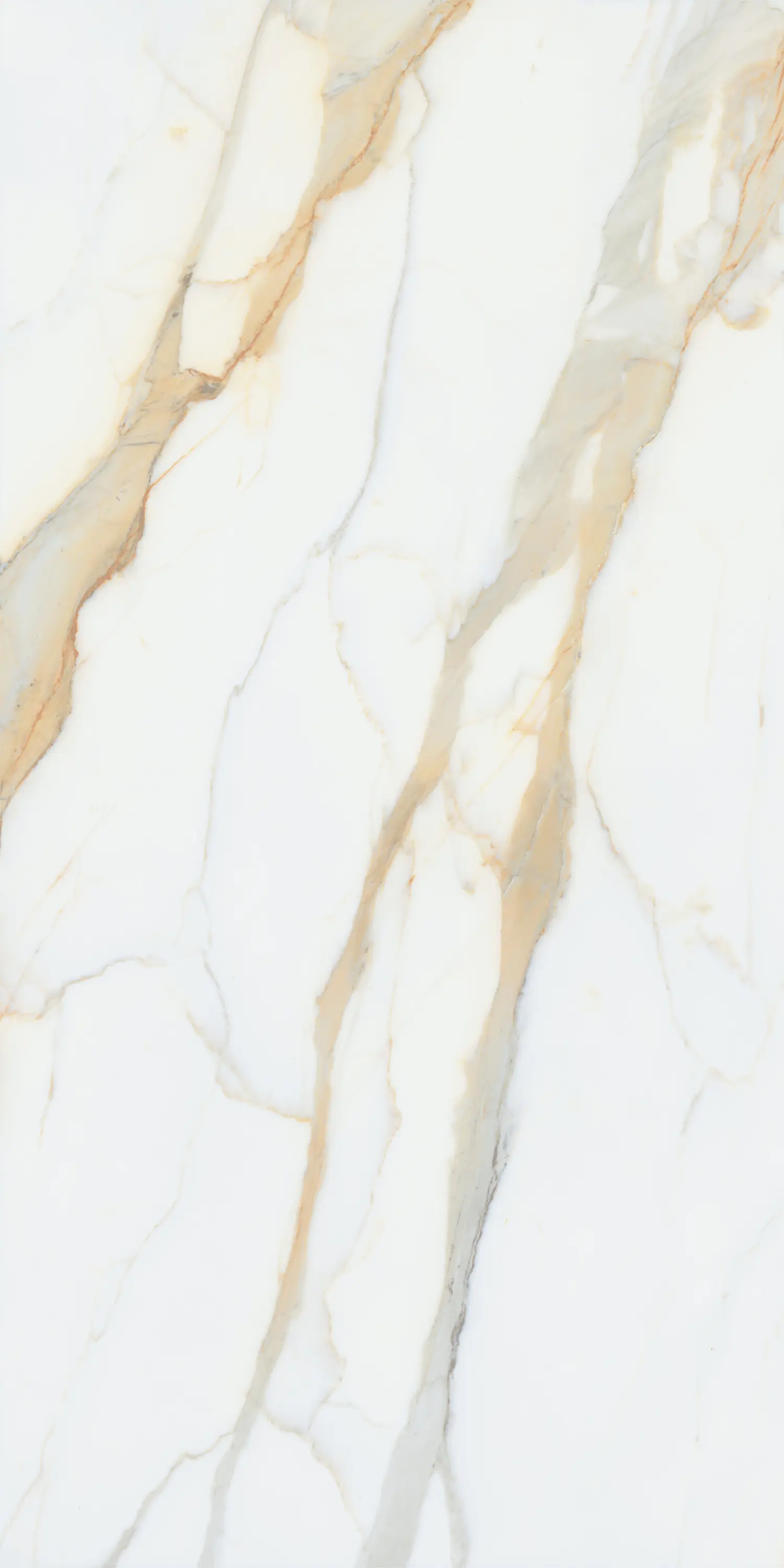 LEVANTINA - Marvel Gold