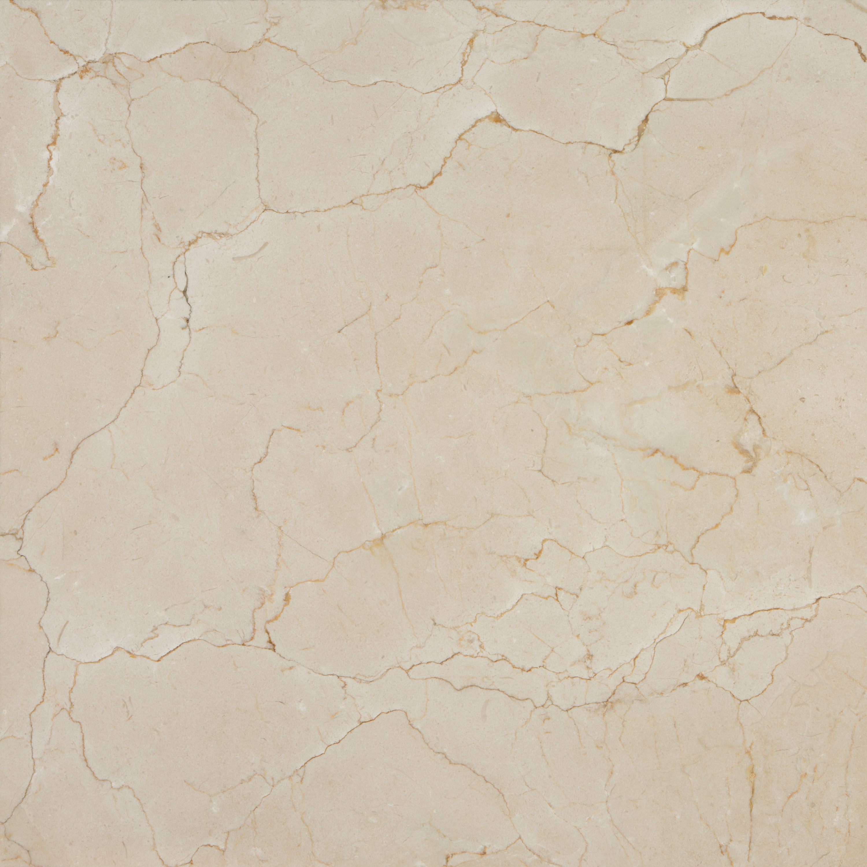 Display product Losa Crema Marfil Coto (4) from manufacturer LEVANTINA
