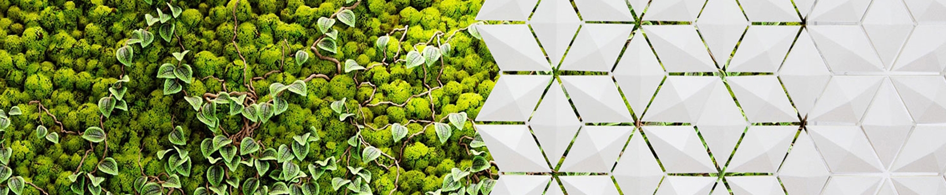 Discover the world of manufacturer Bloomming