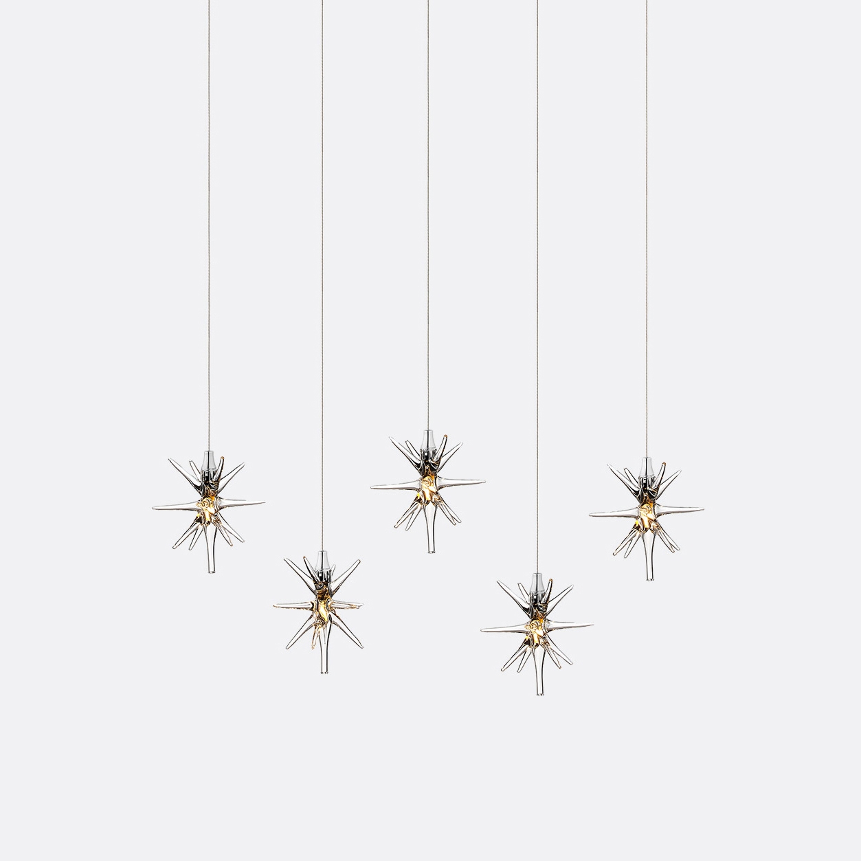 Display product Star 5 from manufacturer Shakuff